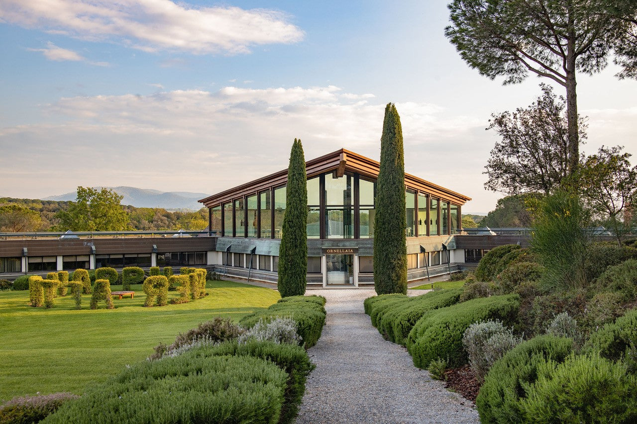 Tenuta di Toscana - Ornellaia & Luce
