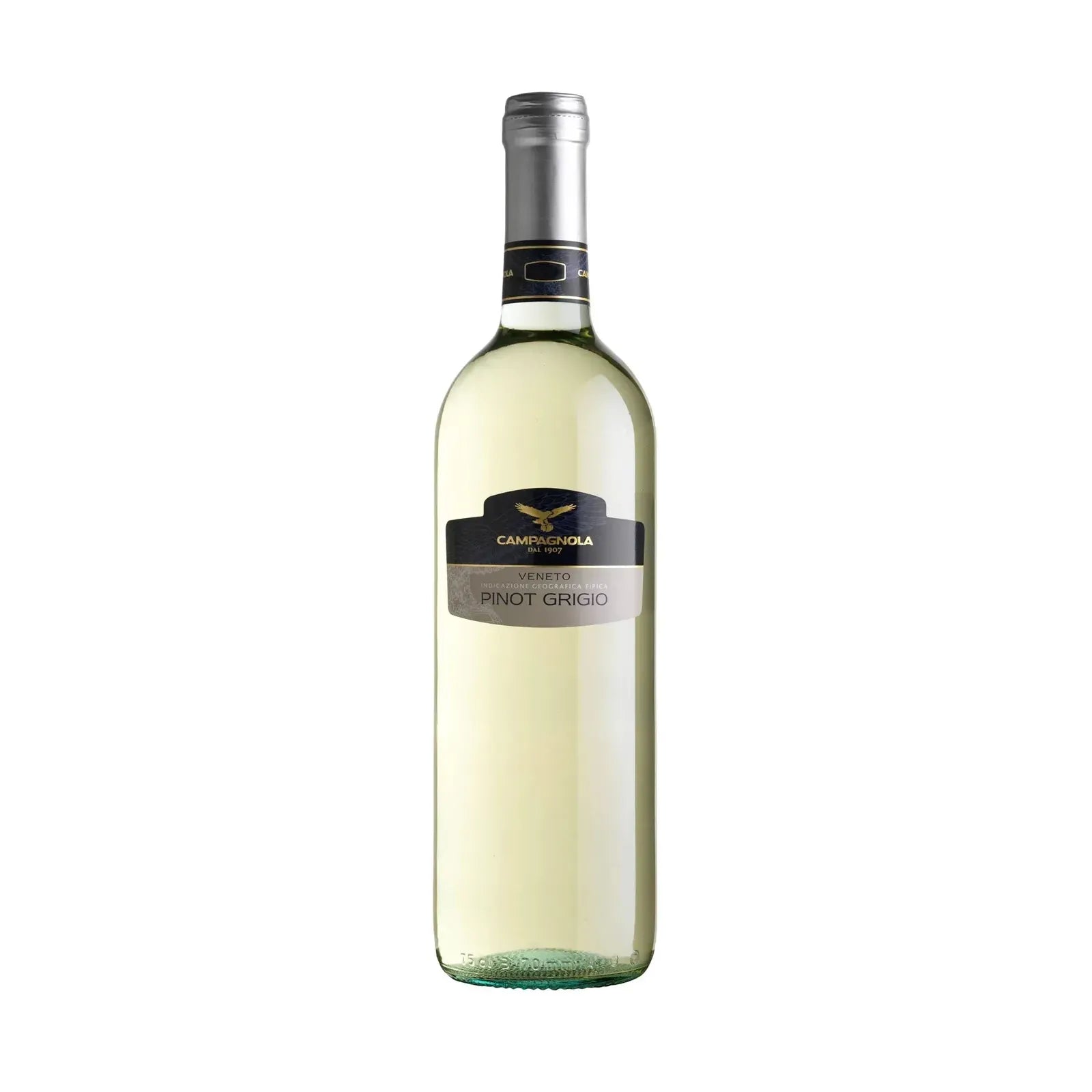 Campagnola Pinot Grigio 2022