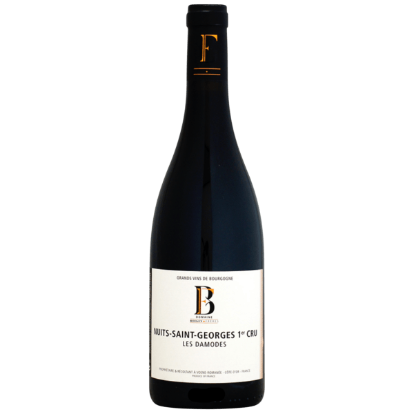 Boigey Nuits-Saint-Georges 1er Cru Les Damodes