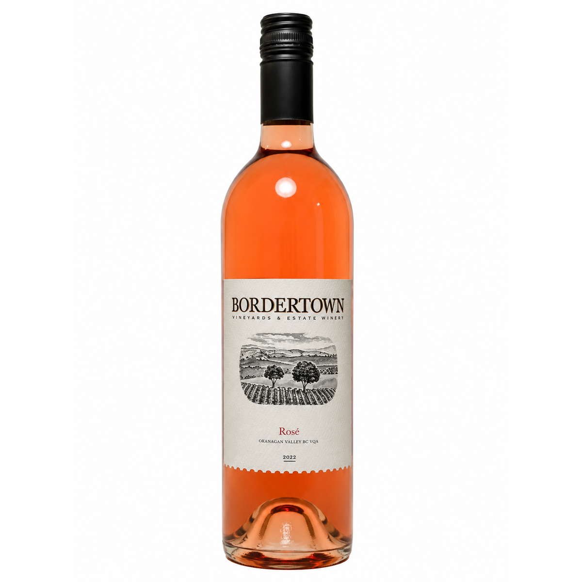 Bordertown Rose 2022
