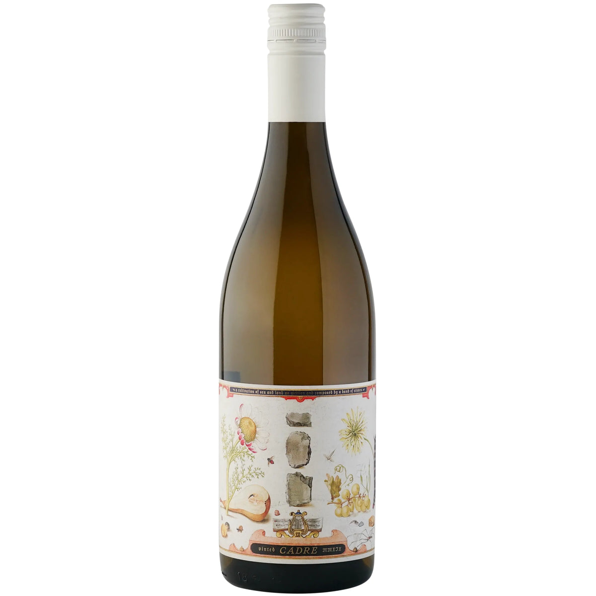 Cadre Band of Stones Gruner Veltliner