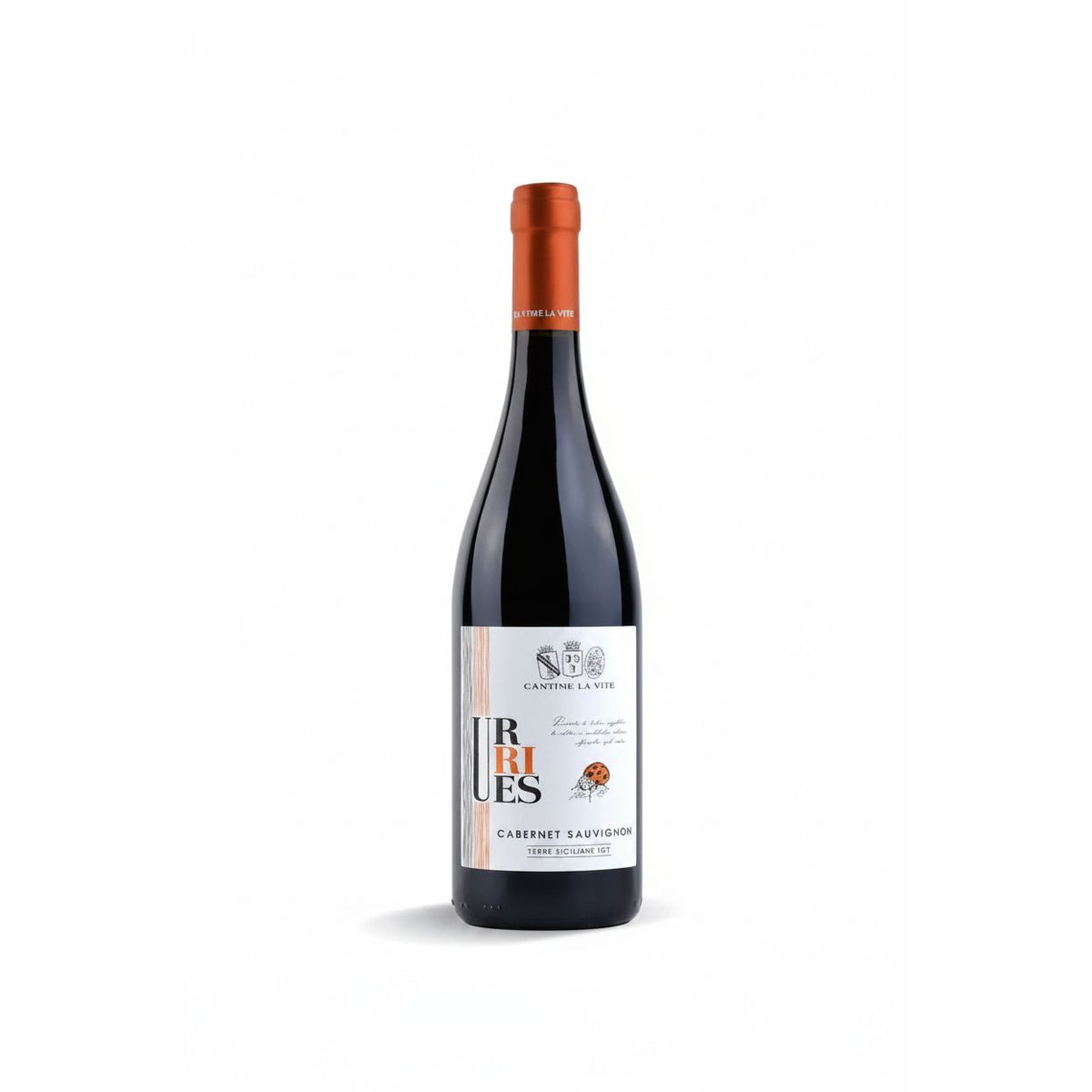 Cantine La Vite Cabernet Sauvignon