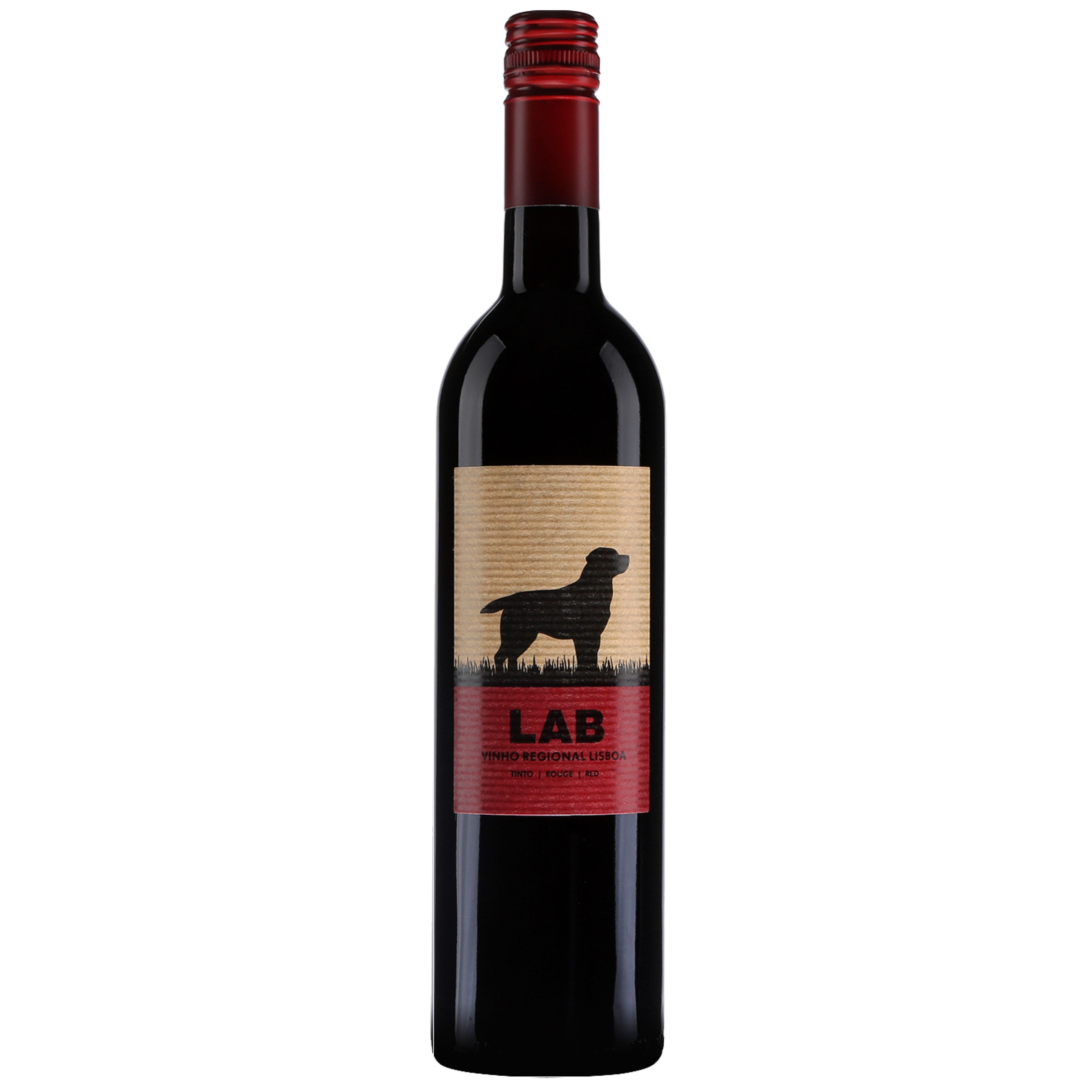 Casa Santos Lima Lab Red