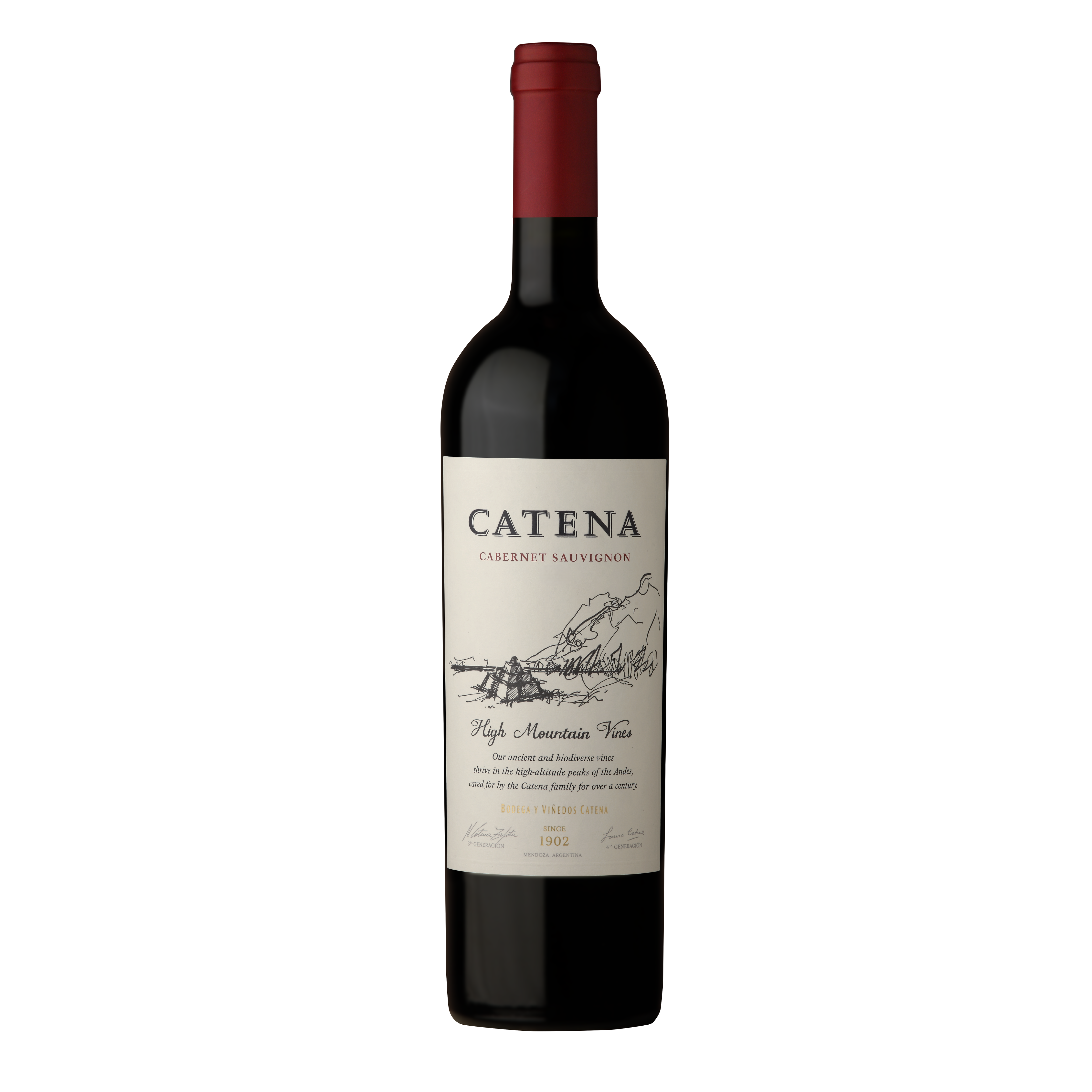 Catena High Mountain Vines Cabernet Sauvignon