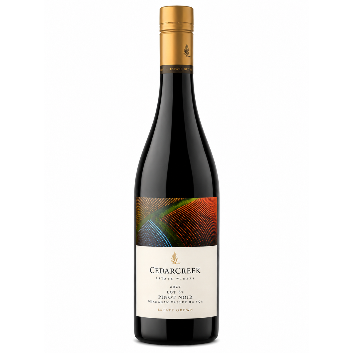 Cedarcreek Lot 87 Pinot Noir 2022