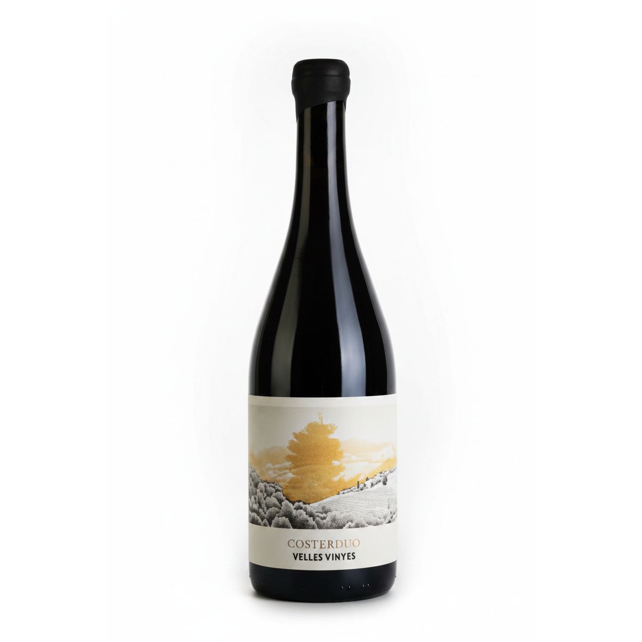 Costerduo Priorat Velles Vinyes