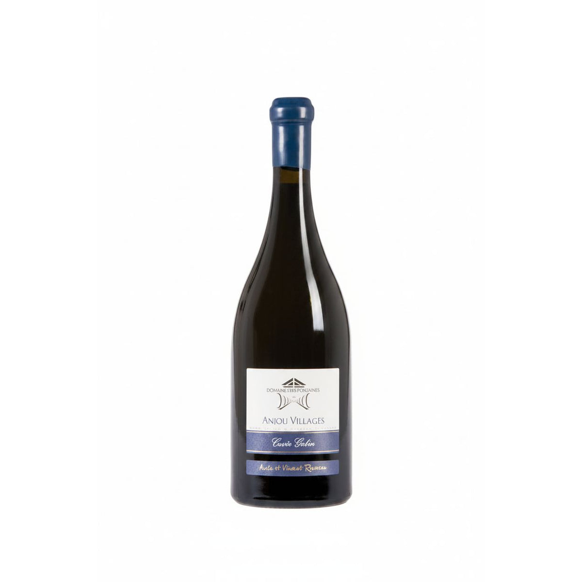 Domaine des Fontaines Anjou Villages Gabin