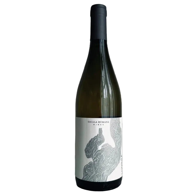 ESCALA HUMANA MALVASIA