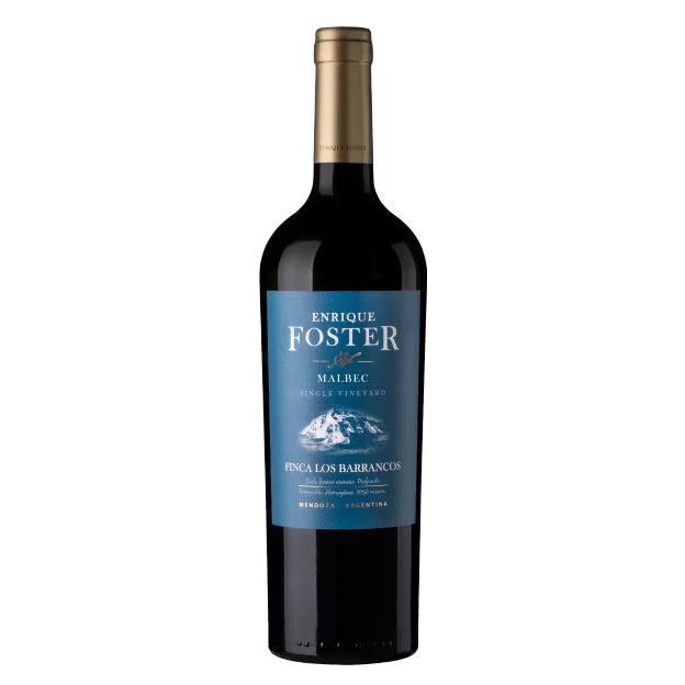Enrique Foster Single Vineyard Los Barrancos Malbec