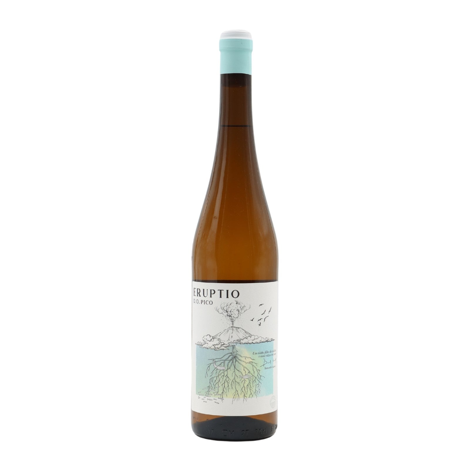 Eruptio White