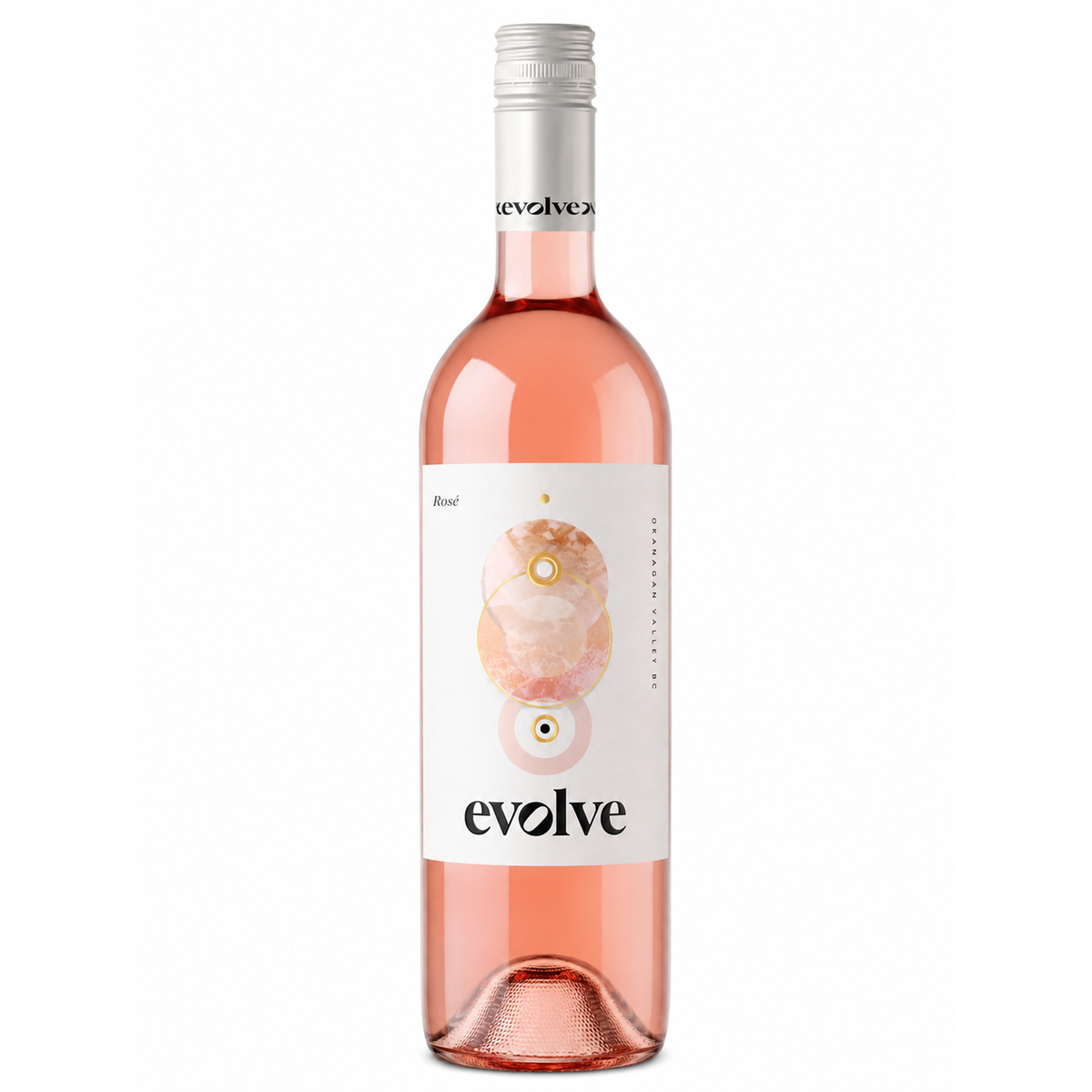Evolve Rose