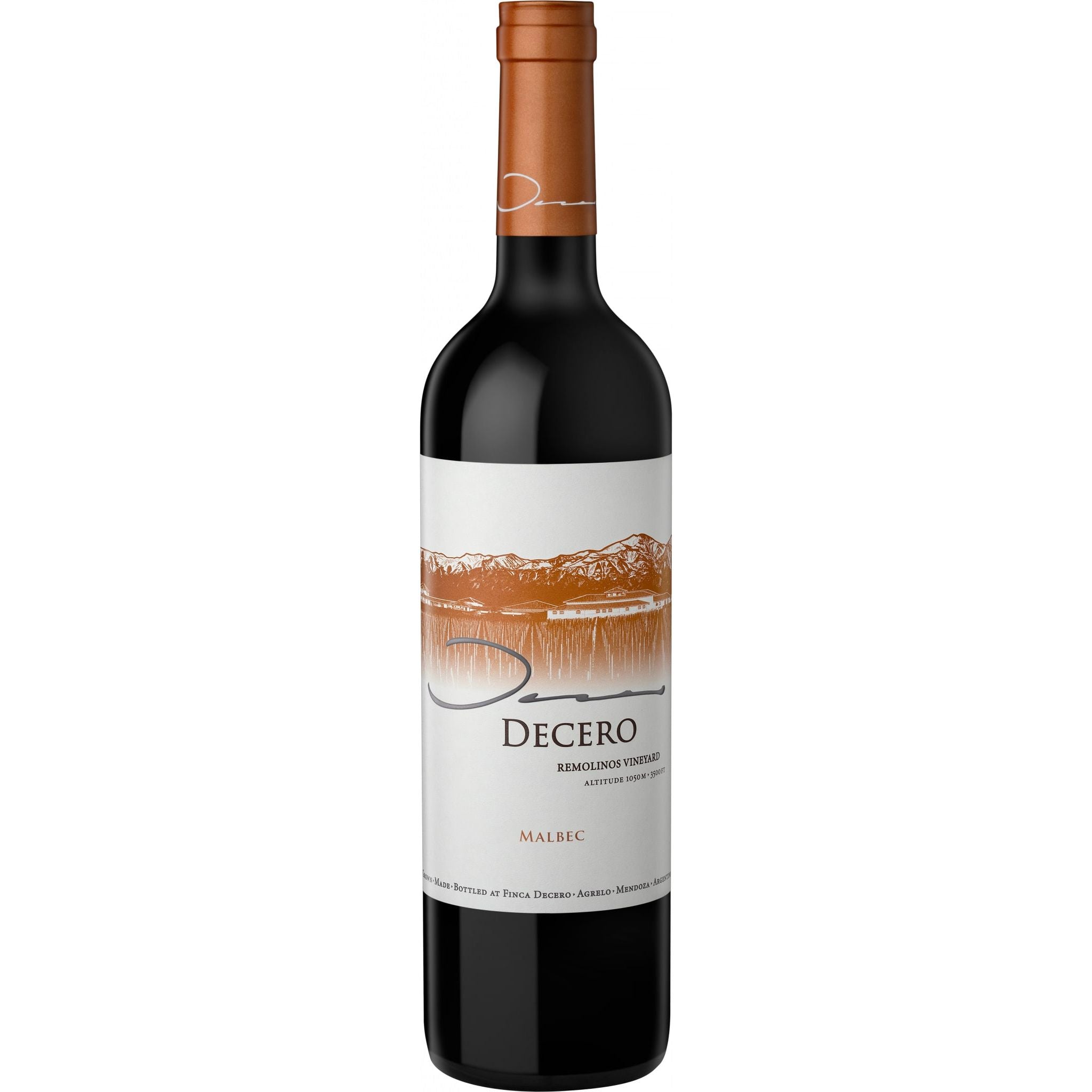 Finca Decero Remolinos Vineyard Malbec