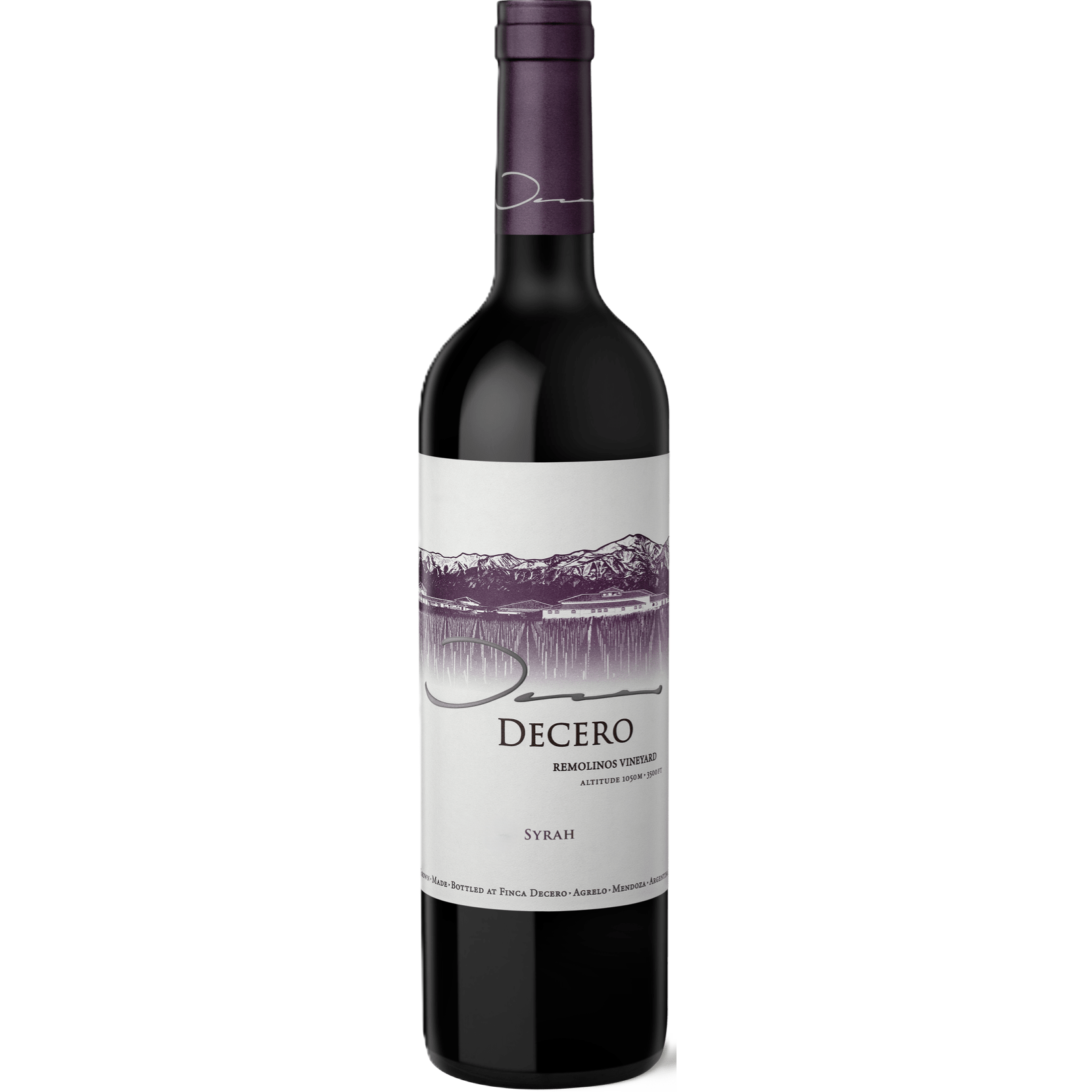 Finca Decero Remolinos Vineyard Syrah
