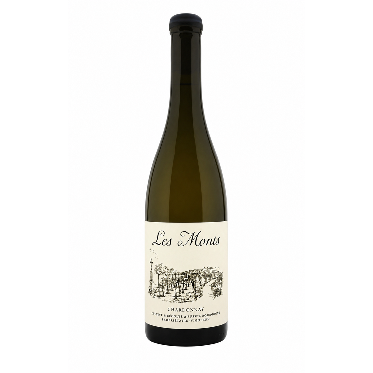 Le Monts Bourgogne Les Crucibees Blanc