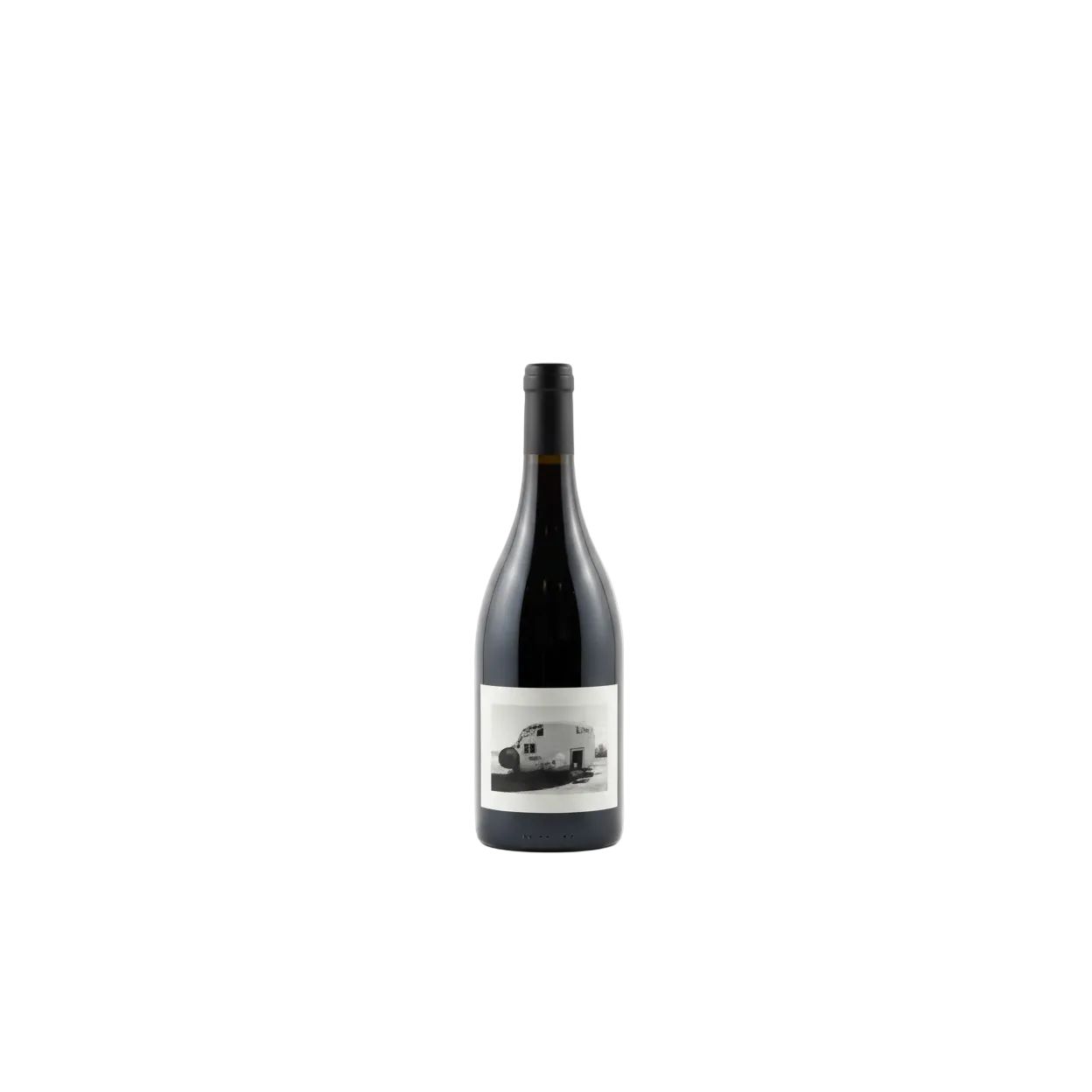 Levo Please Fasten Seatbelt Syrah 2021