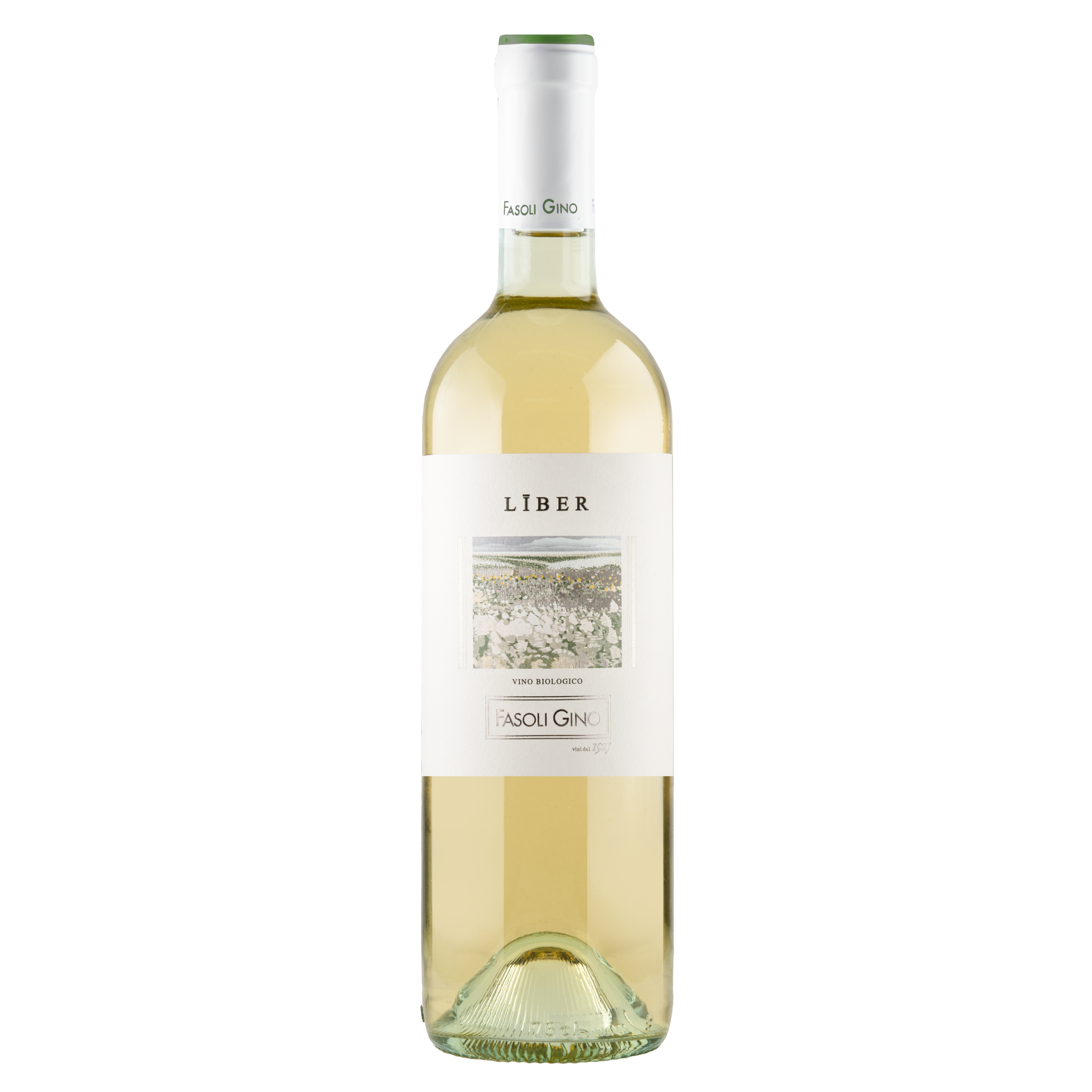 Liber Bianco Veronese