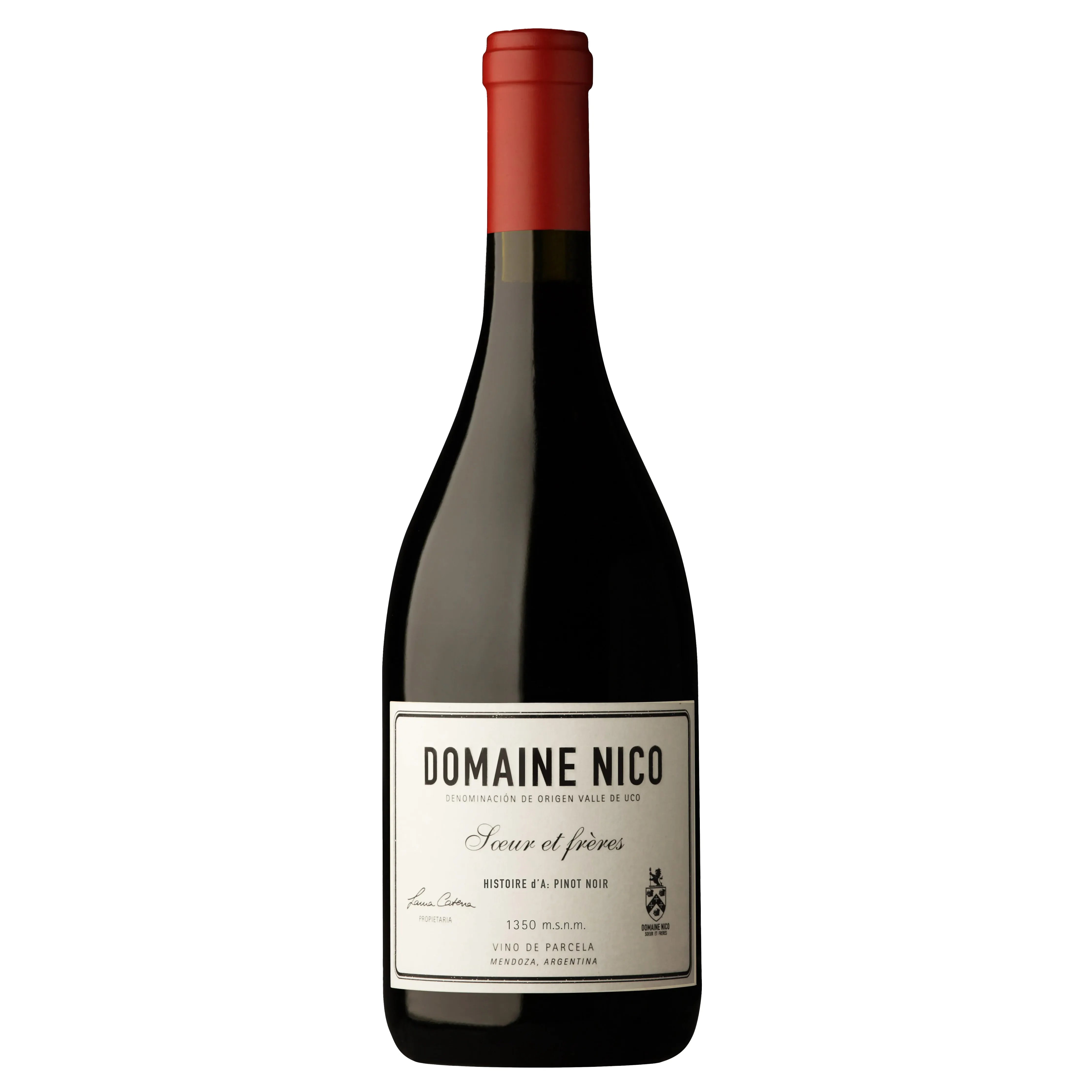 Luca Domaine Nico Soeur et Freres Histoire d’A: Pinot Noir