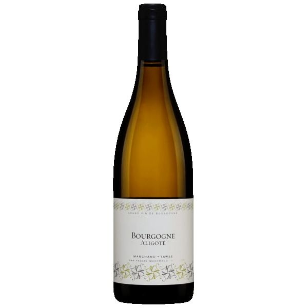 Marchand-Tawse Bourgogne Aligote