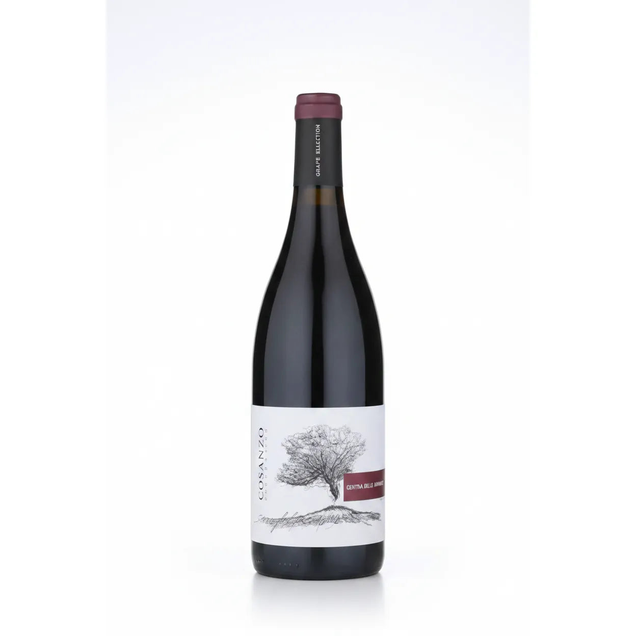 Palmento Costanzo Mofete Etna Rosso 2022