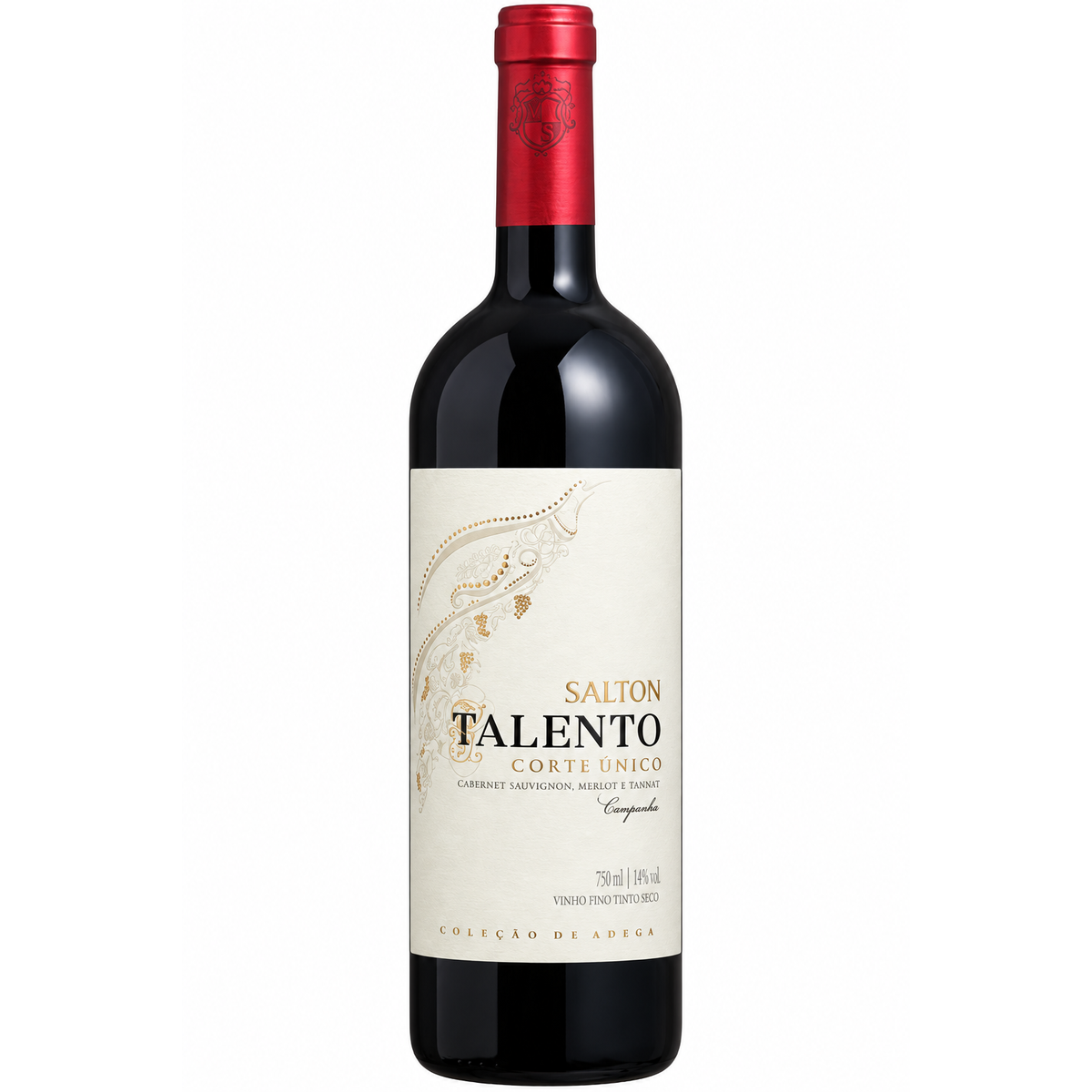 Salton Talento