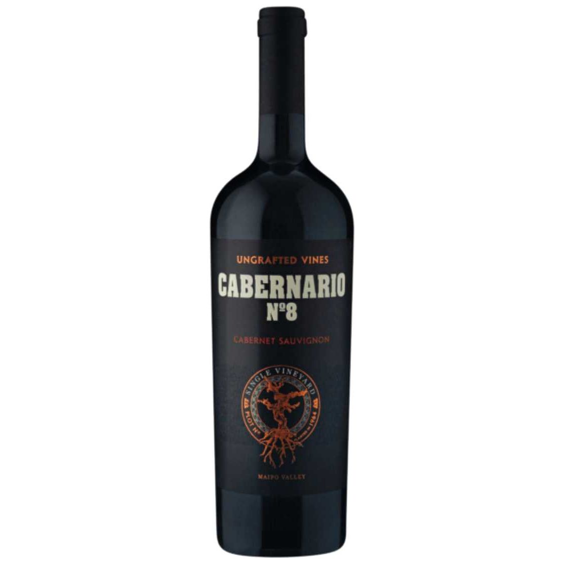 Santa Rita Cabernario No.8 Single Vineyard Cabernet Sauvignon 2020 750ml