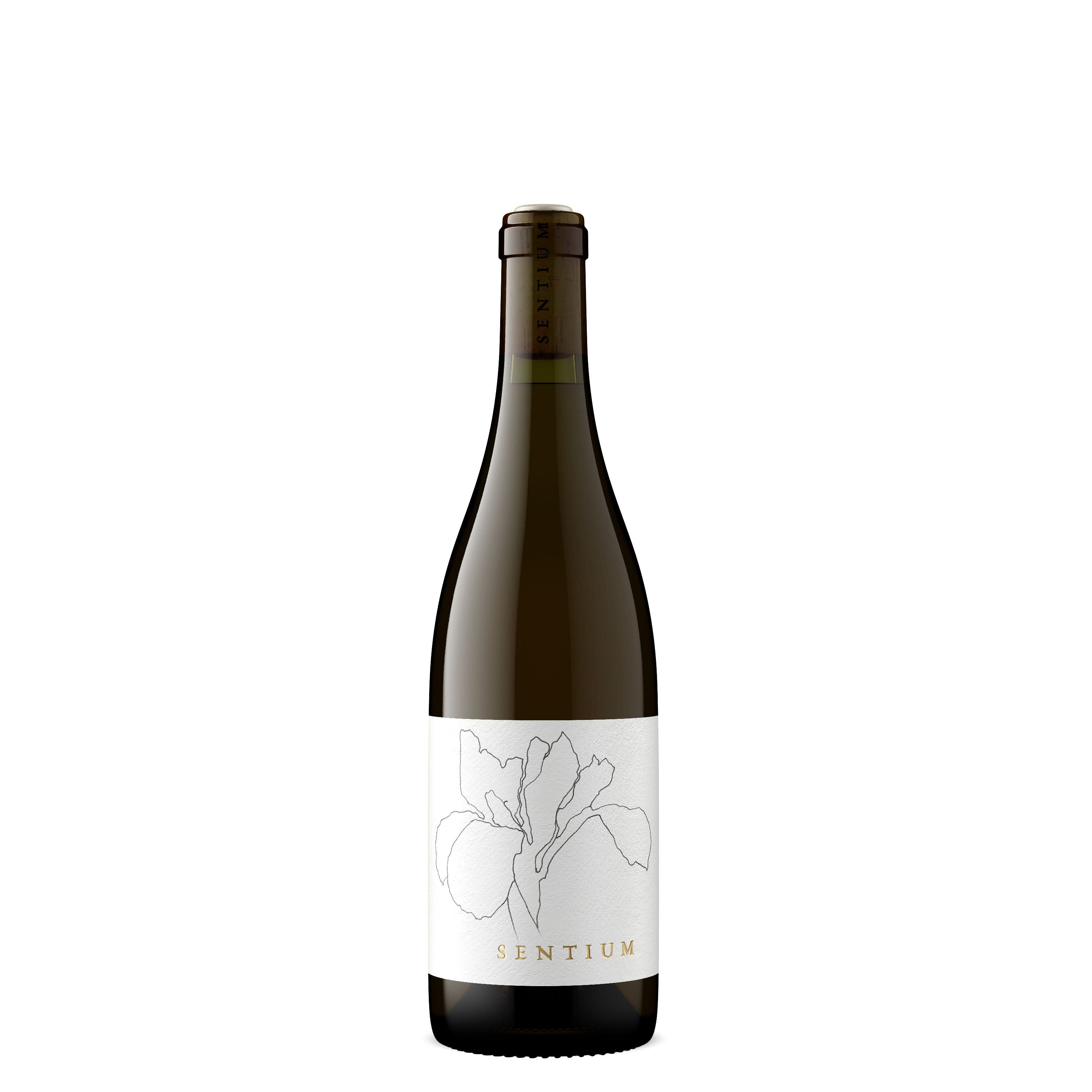 Sentium Sauvignon Blanc