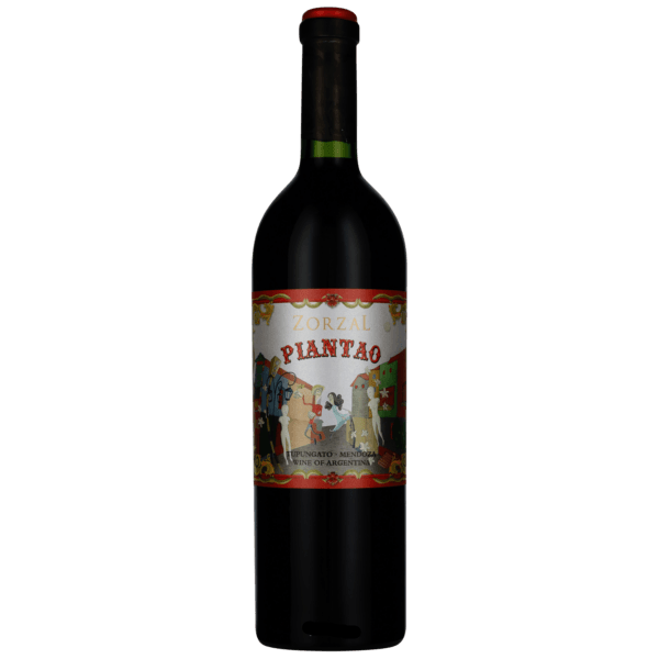 Zorzal Piantao