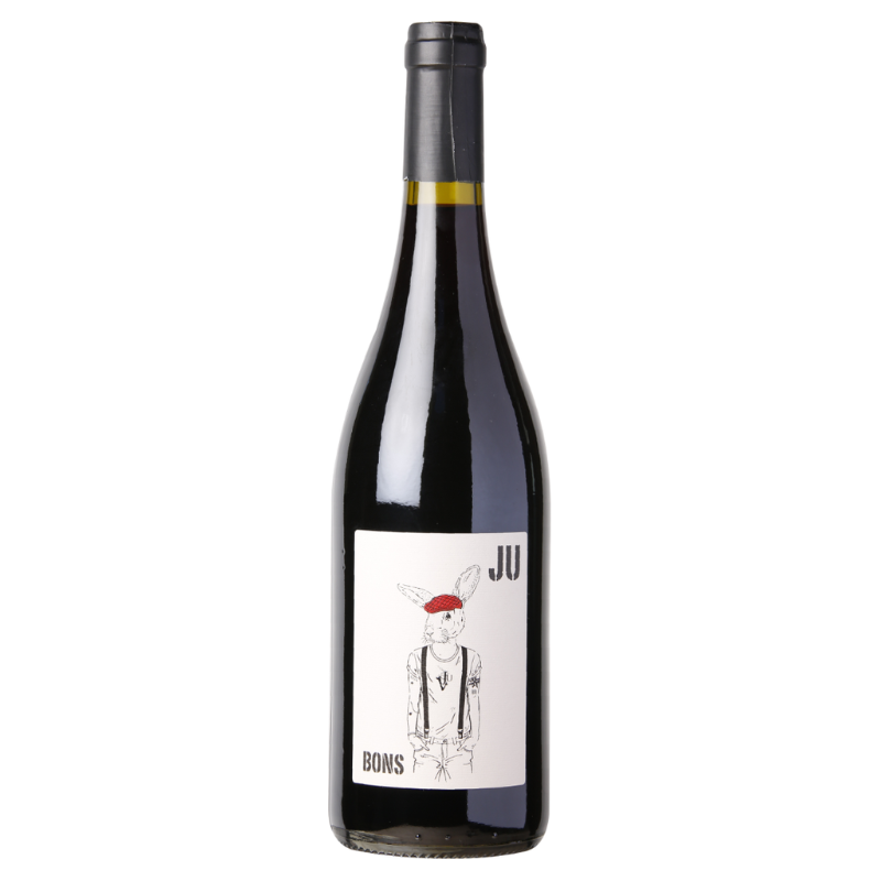 Domaine De La Gravierette Bons Ju Red 2022 750ml