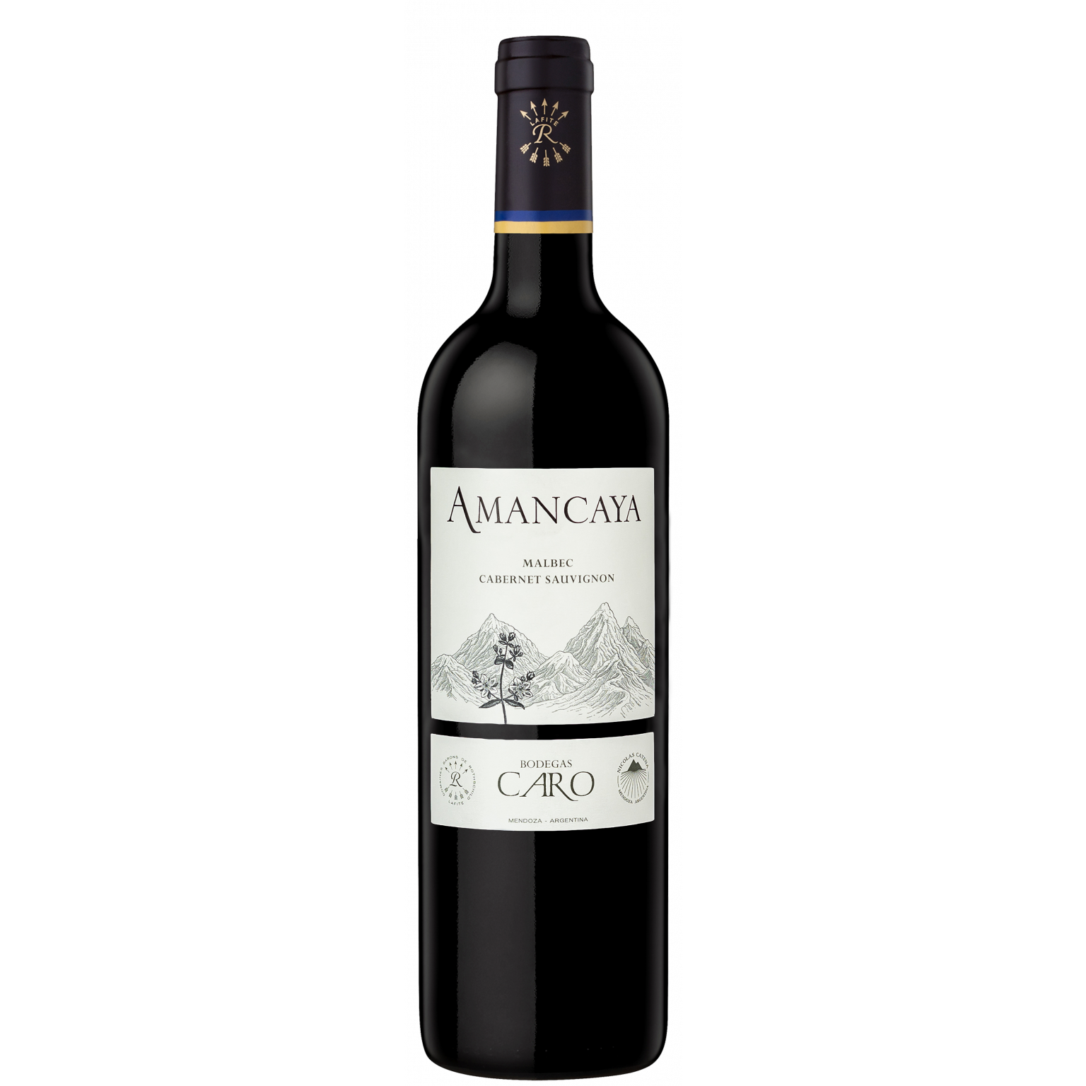 Bodegas Caro Amancaya