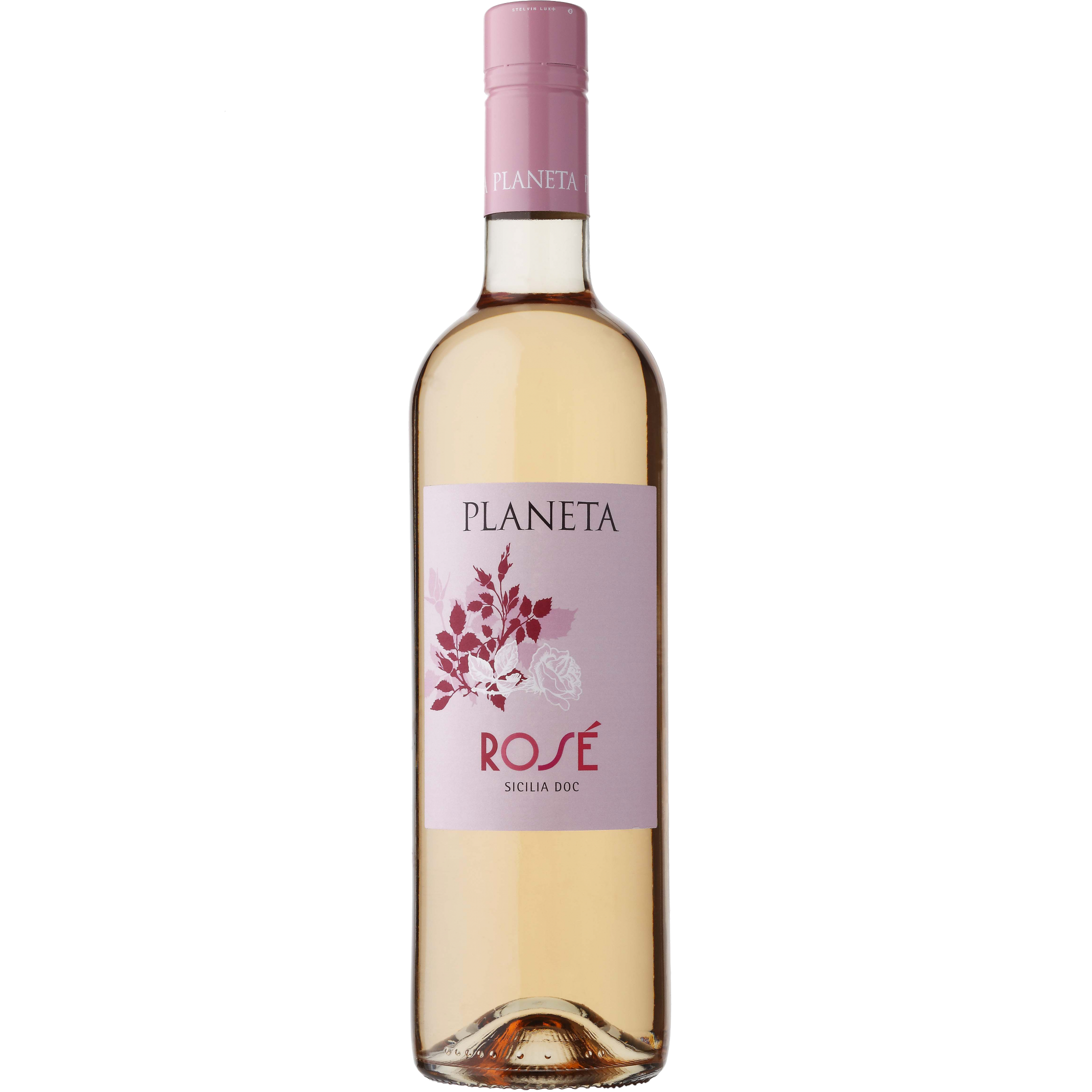 Planeta Rose