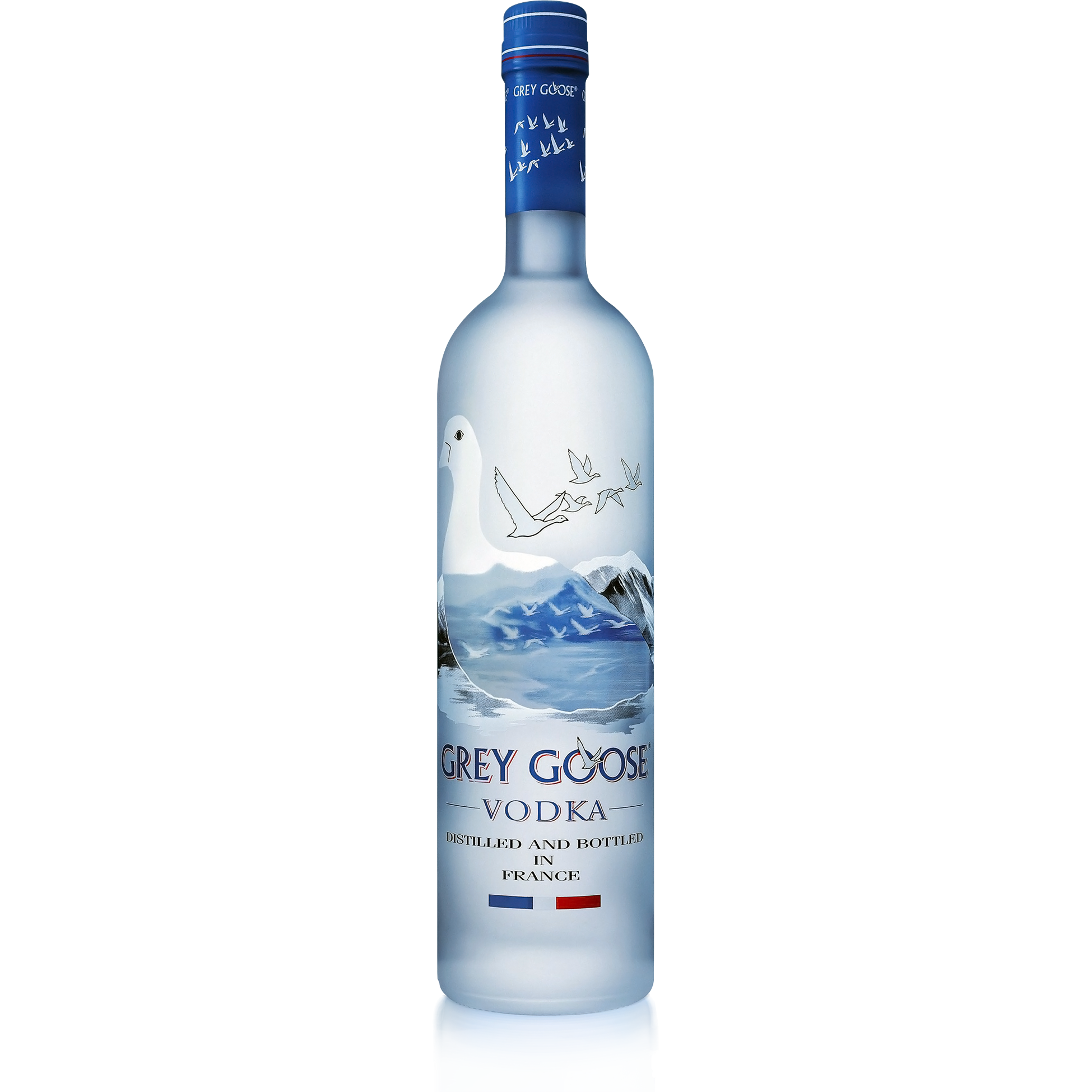 Grey Goose Vodka 3L – BSW Liquor