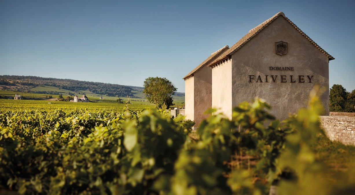 Domaine Faiveley