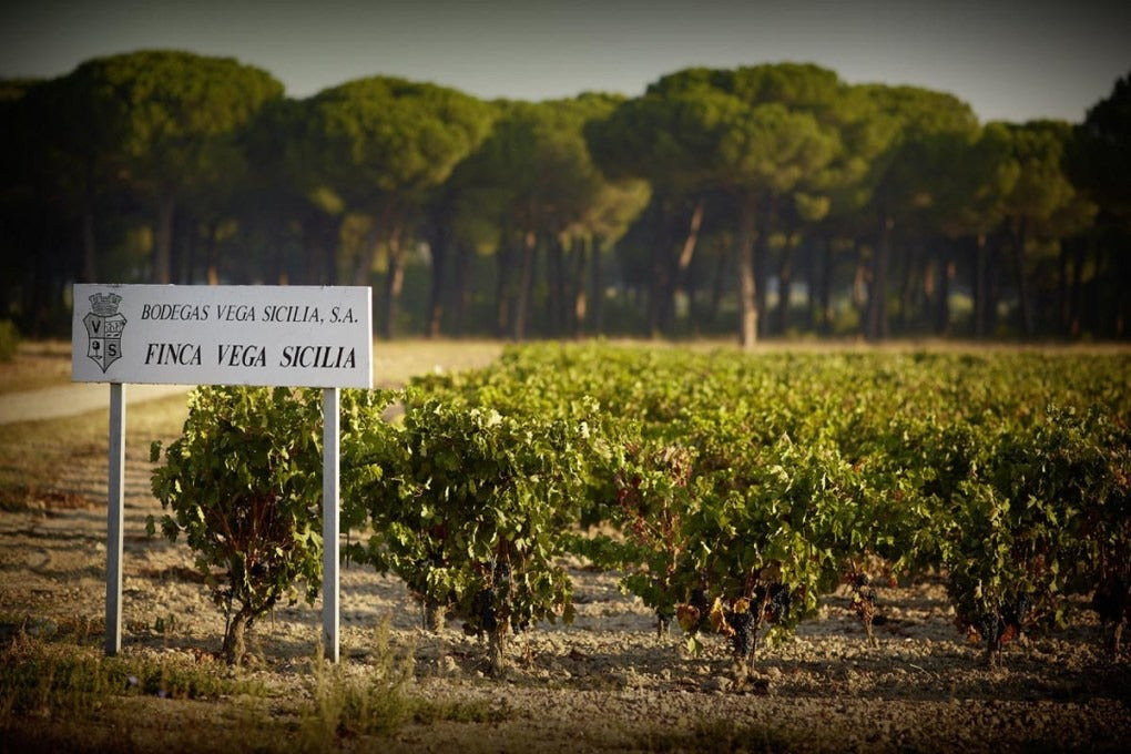 Vega Sicilia