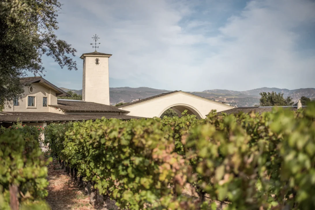 Robert Mondavi