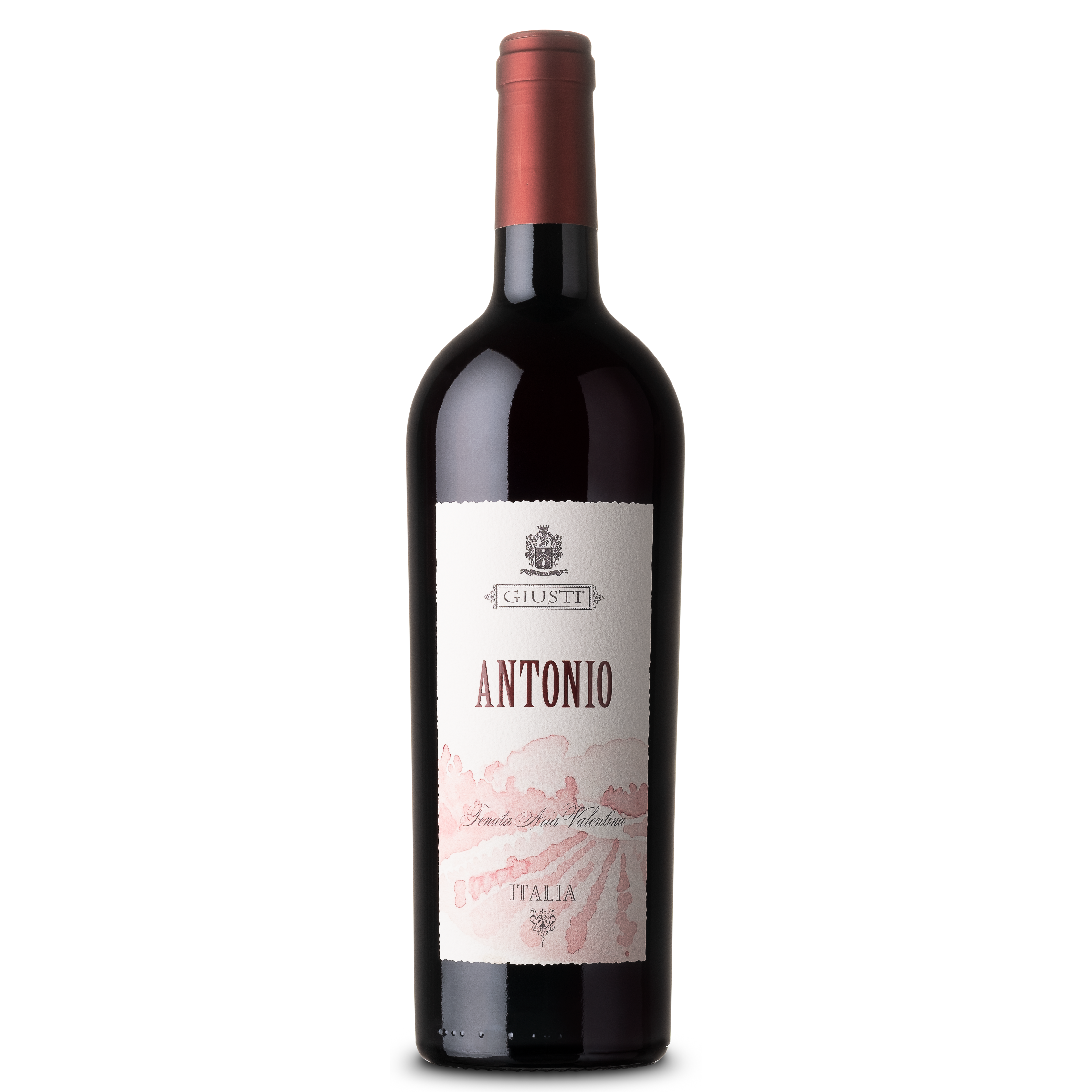 Giusti Antonio Tenuta Aria Valentina 2020 750ml