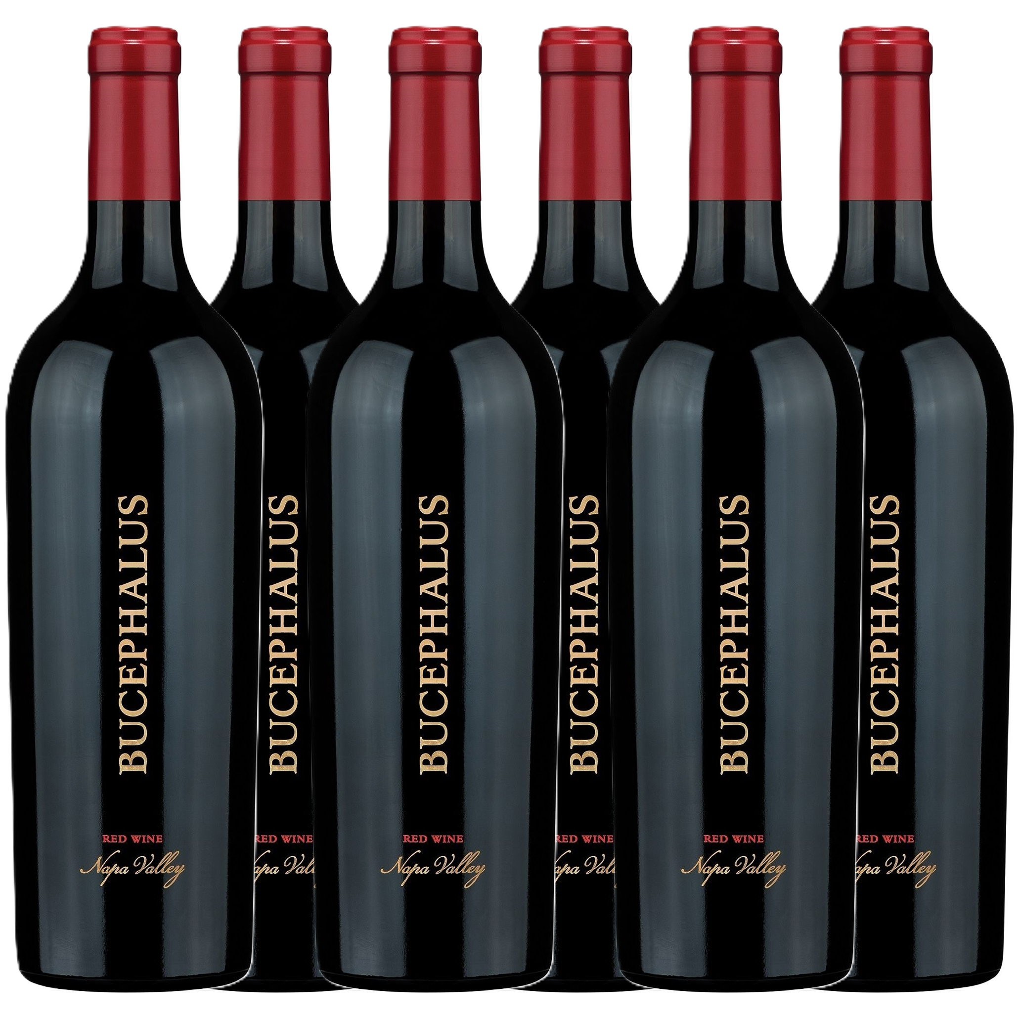 Black Stallion Bucephalus Red 2019 6x750ml Bundle