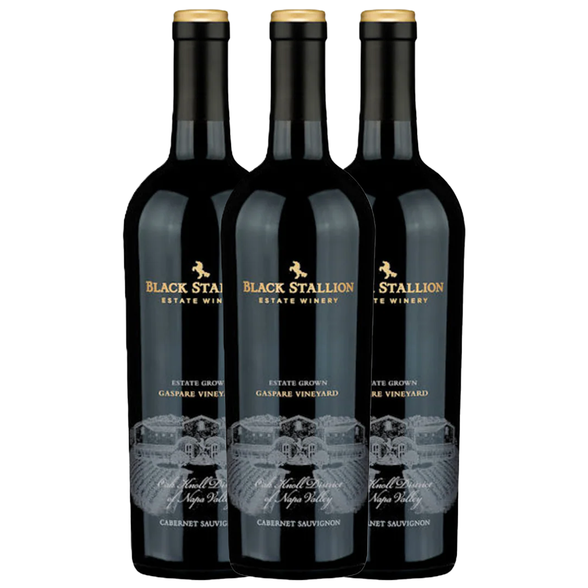 Black Stallion Gaspare Vineyard Cabernet Sauvignon 2020 3x750ml Bundle