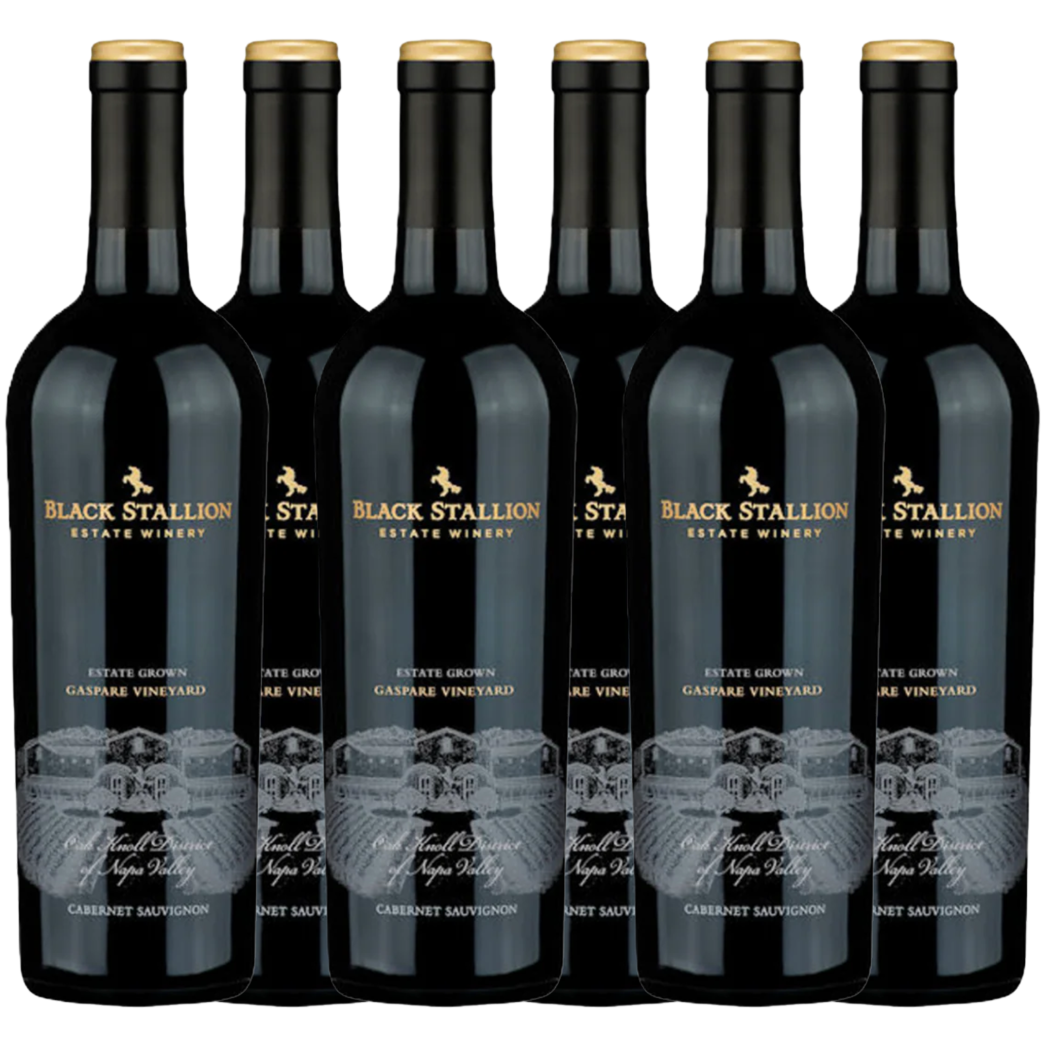 Black Stallion Gaspare Vineyard Cabernet Sauvignon 2020 6x750ml Bundle