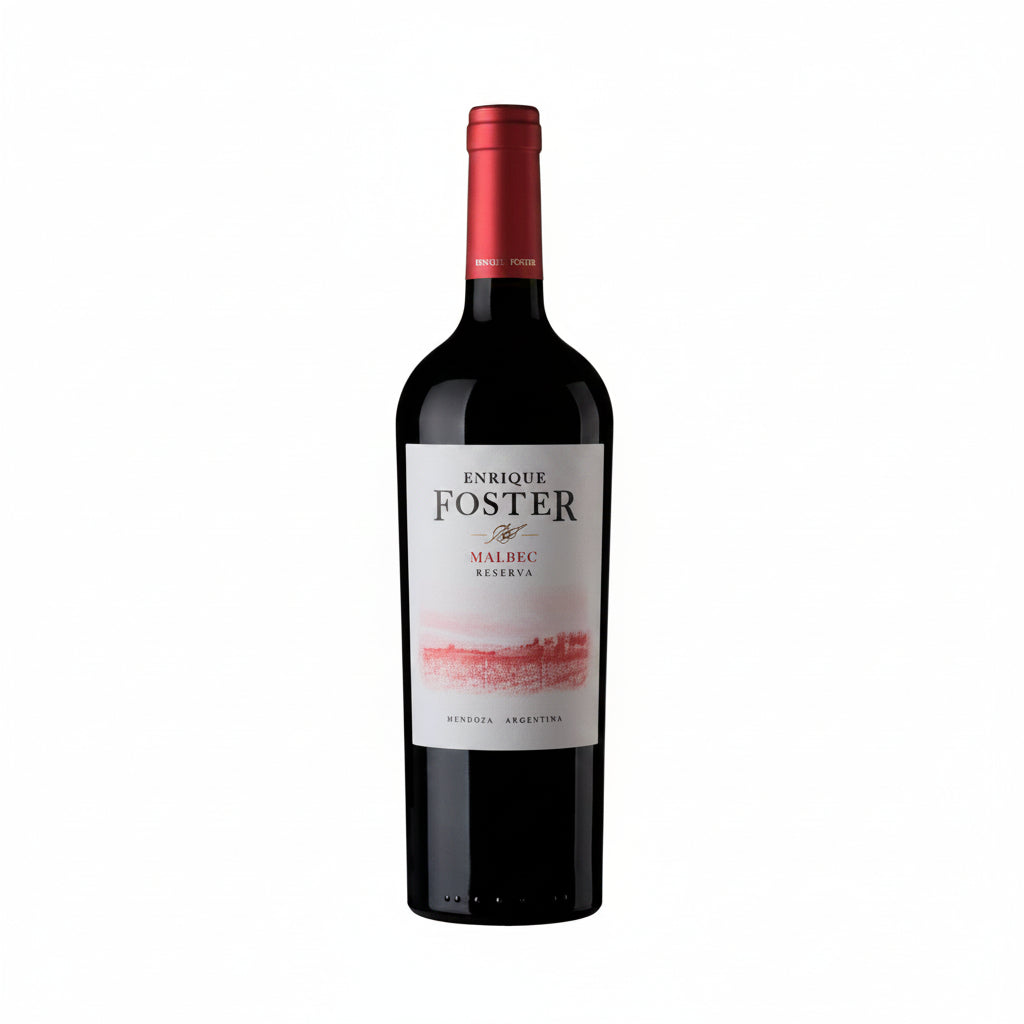 Bodega Enrique Foster Reserva Malbec