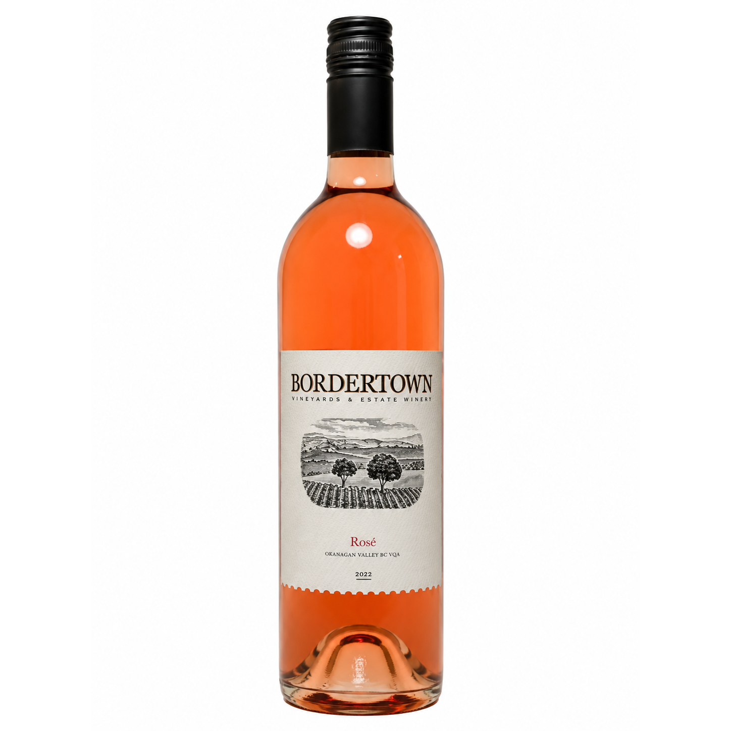 Bordertown Rose 2022