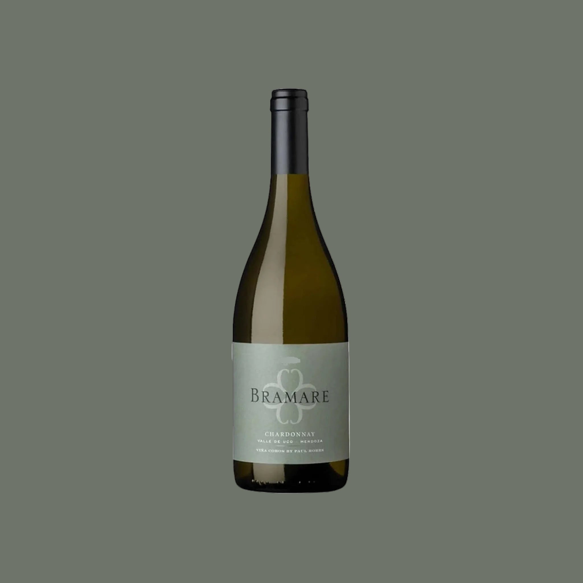 Bramare Valle De Uco Chardonnay