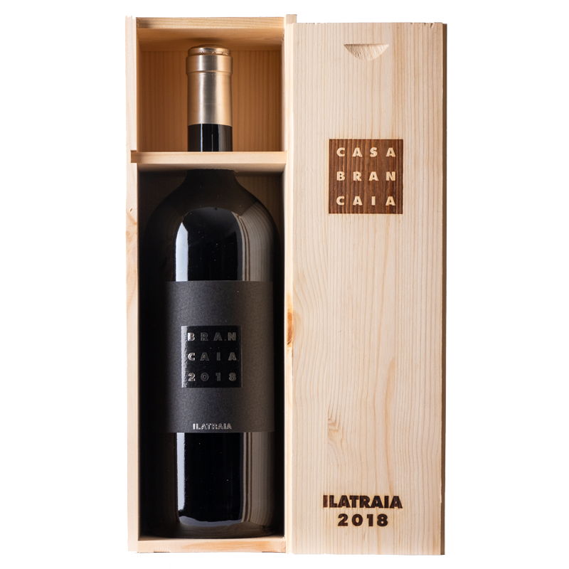 Brancaia Ilatraia 1.5L Magnum