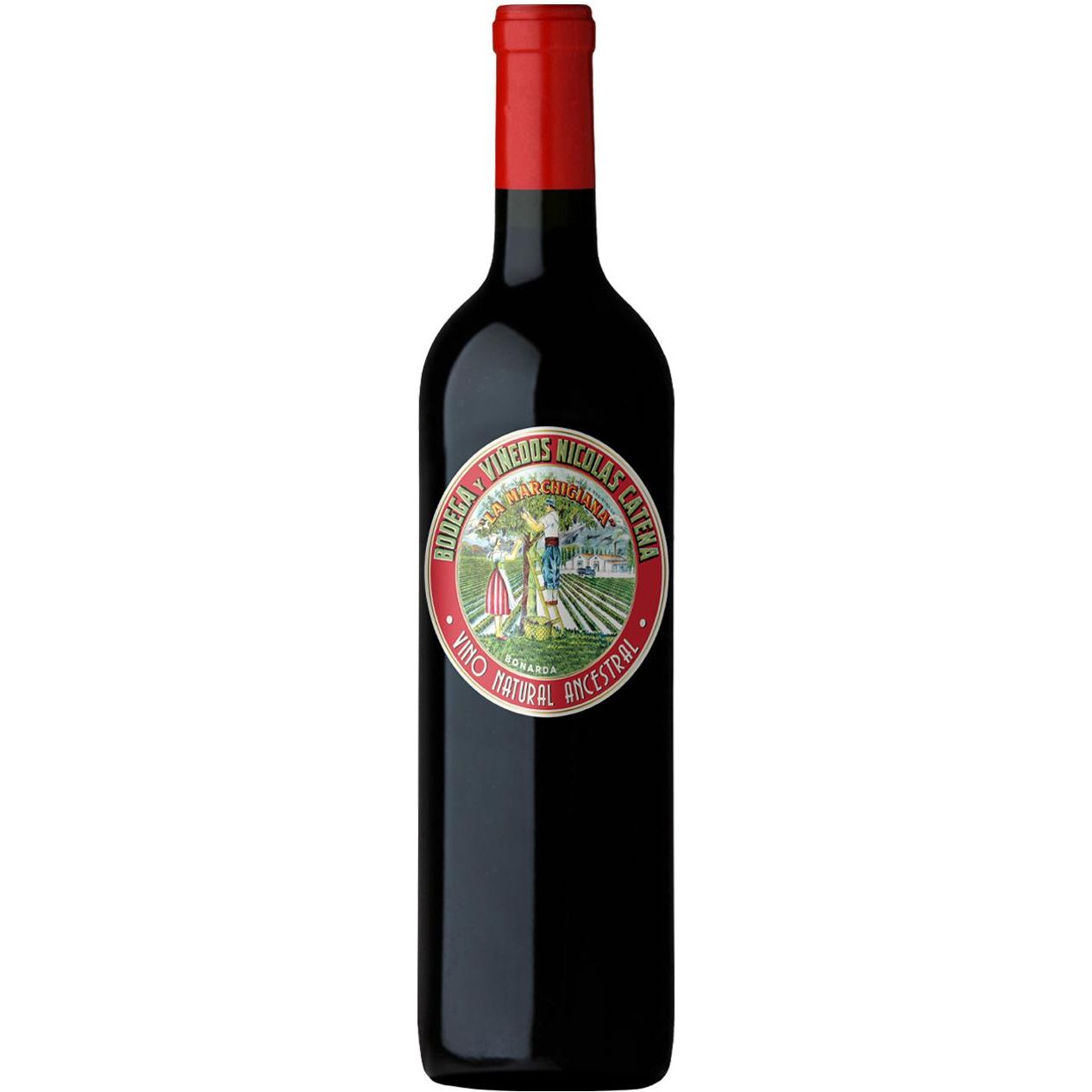 Catena La Marchigiana Bonarda