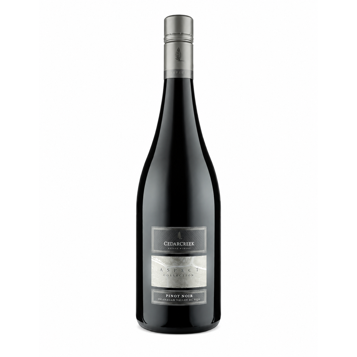 CedarCreek Aspect Block 2 Pinot Noir 