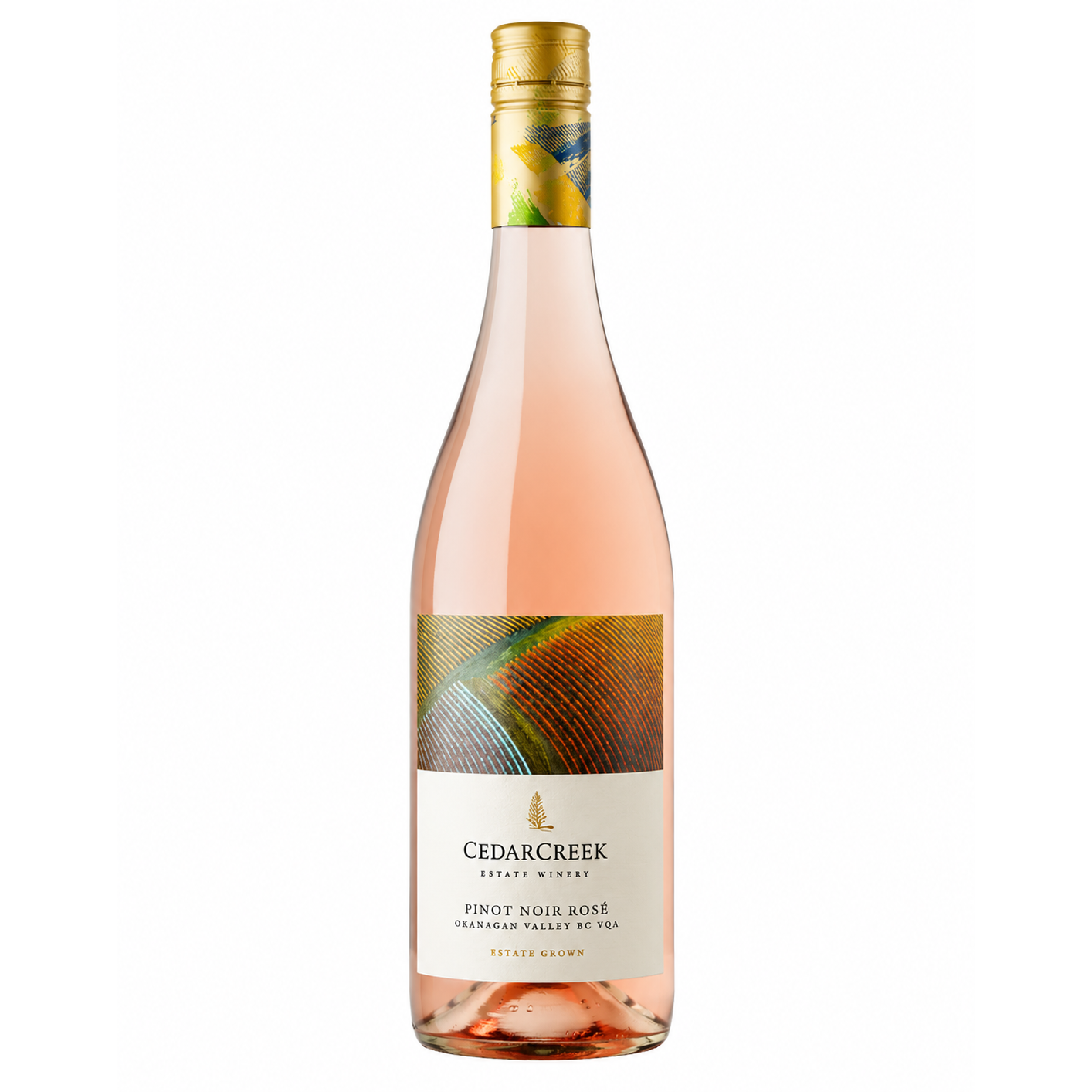 Cedarcreek Estate Pinot Noir Rose