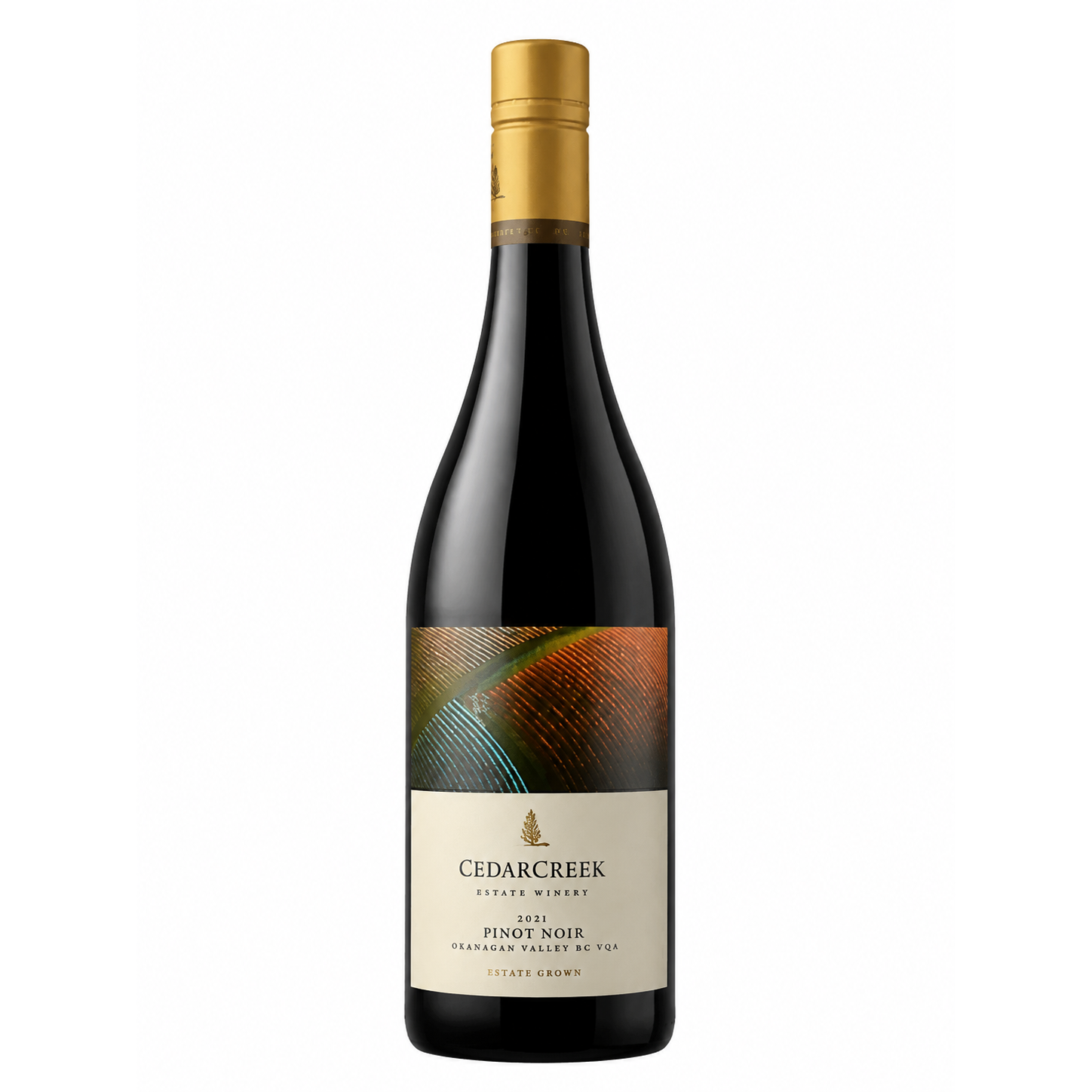 Cedarcreek Pinot Noir