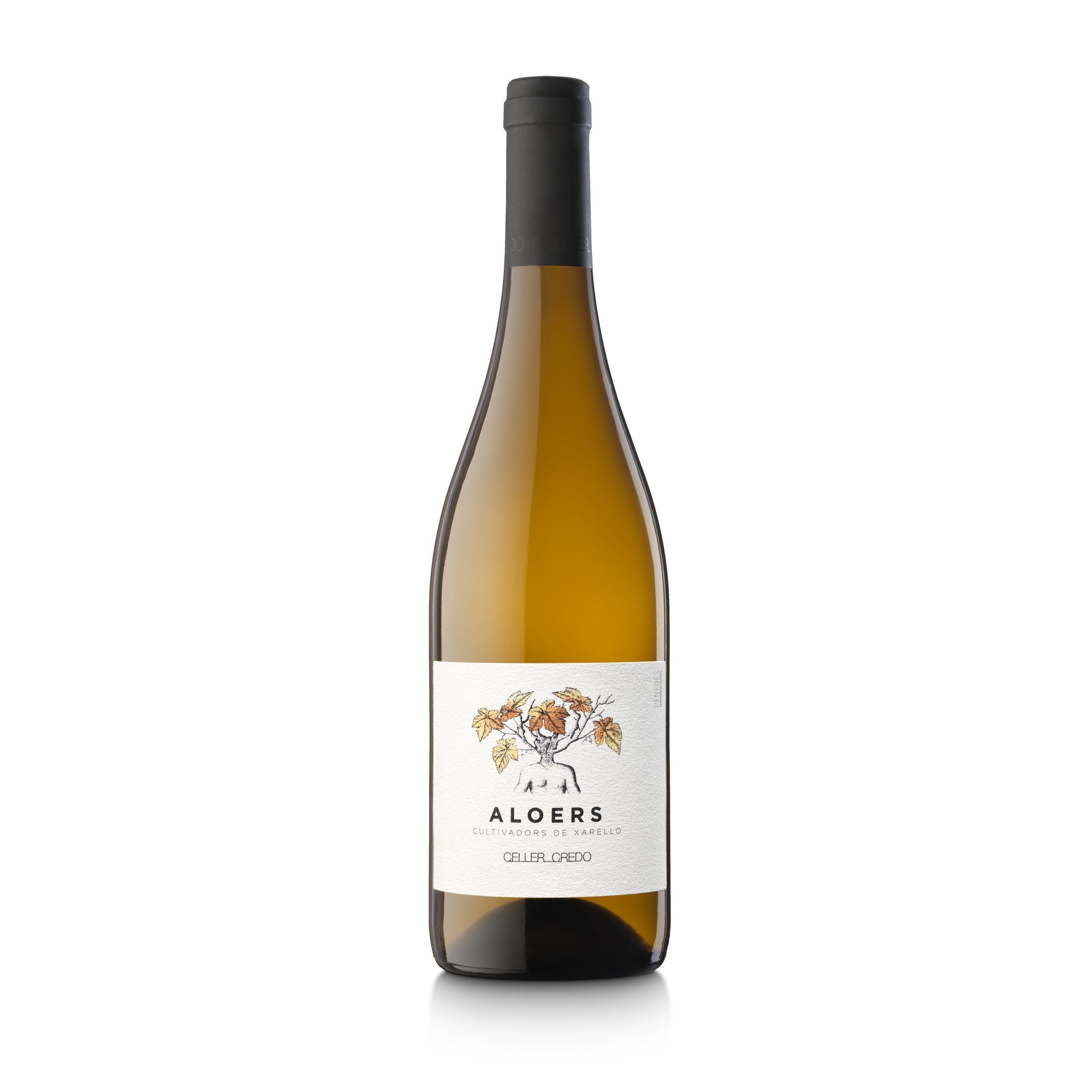 Celler Credo Aloers 2015
