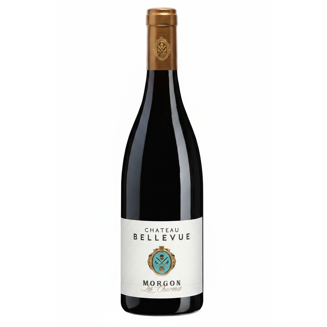 Chateau De Bellevue Morgon Les Charmes