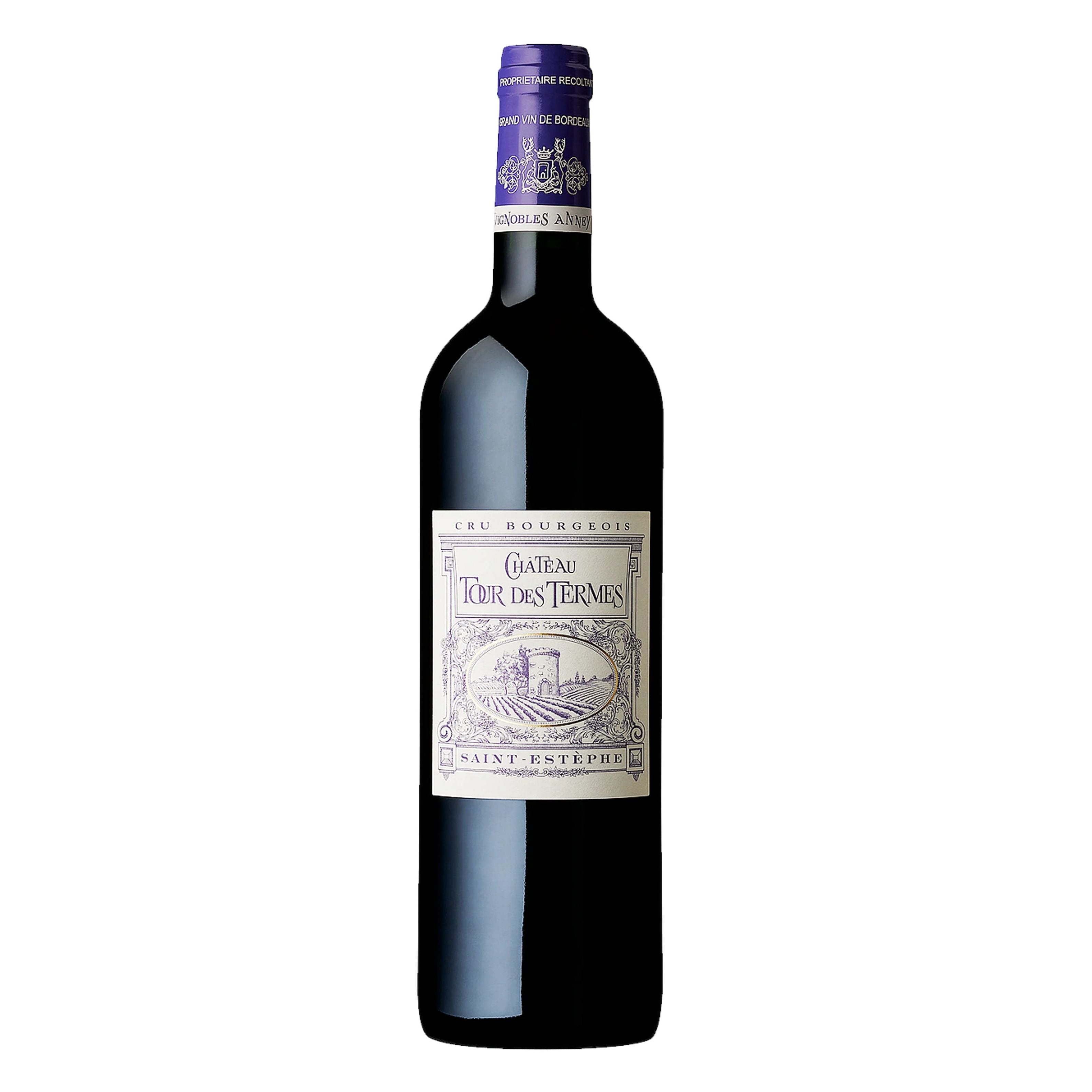 Chateau Tour des Termes 