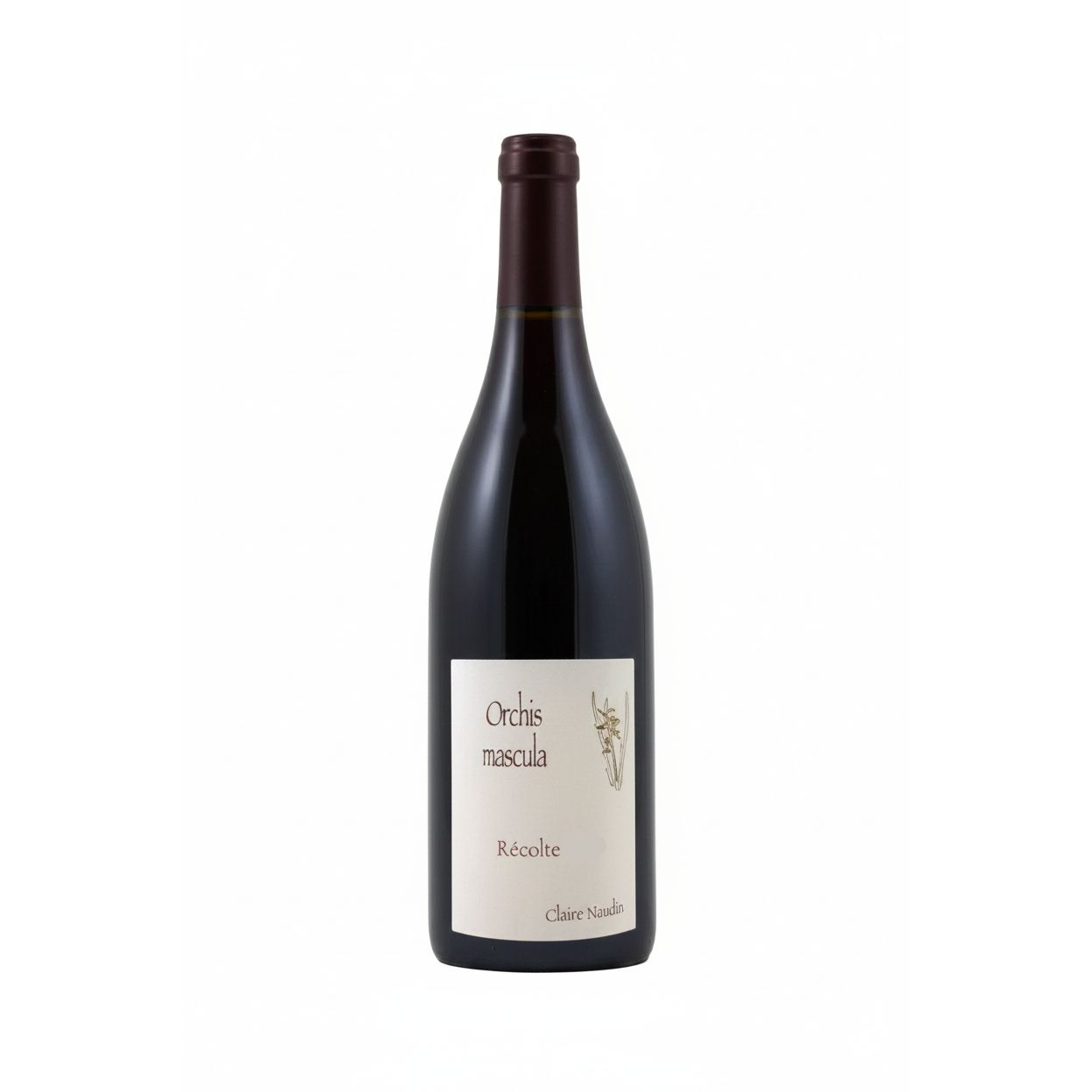 Claire Naudin Beaune Orchis Mascula